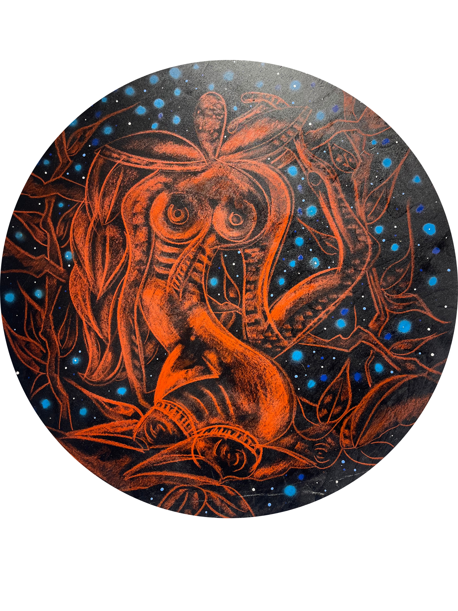 ave in the stars 2.png