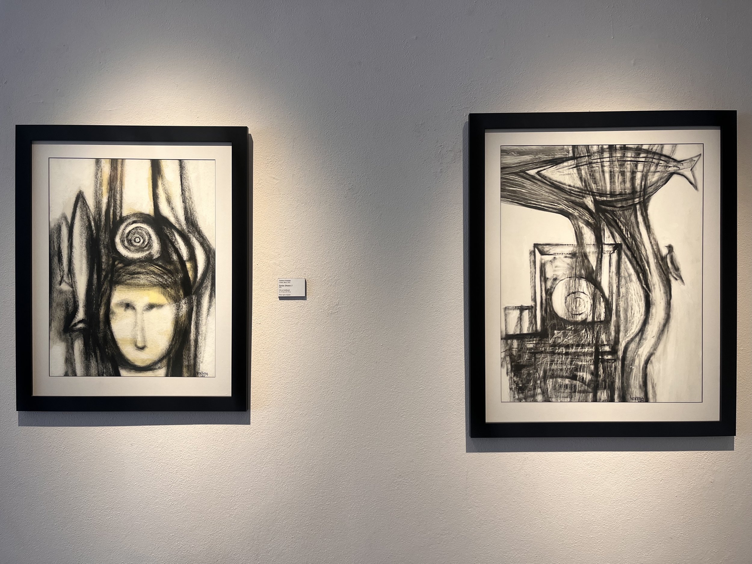 Memoria Insular Ventura 4.jpg