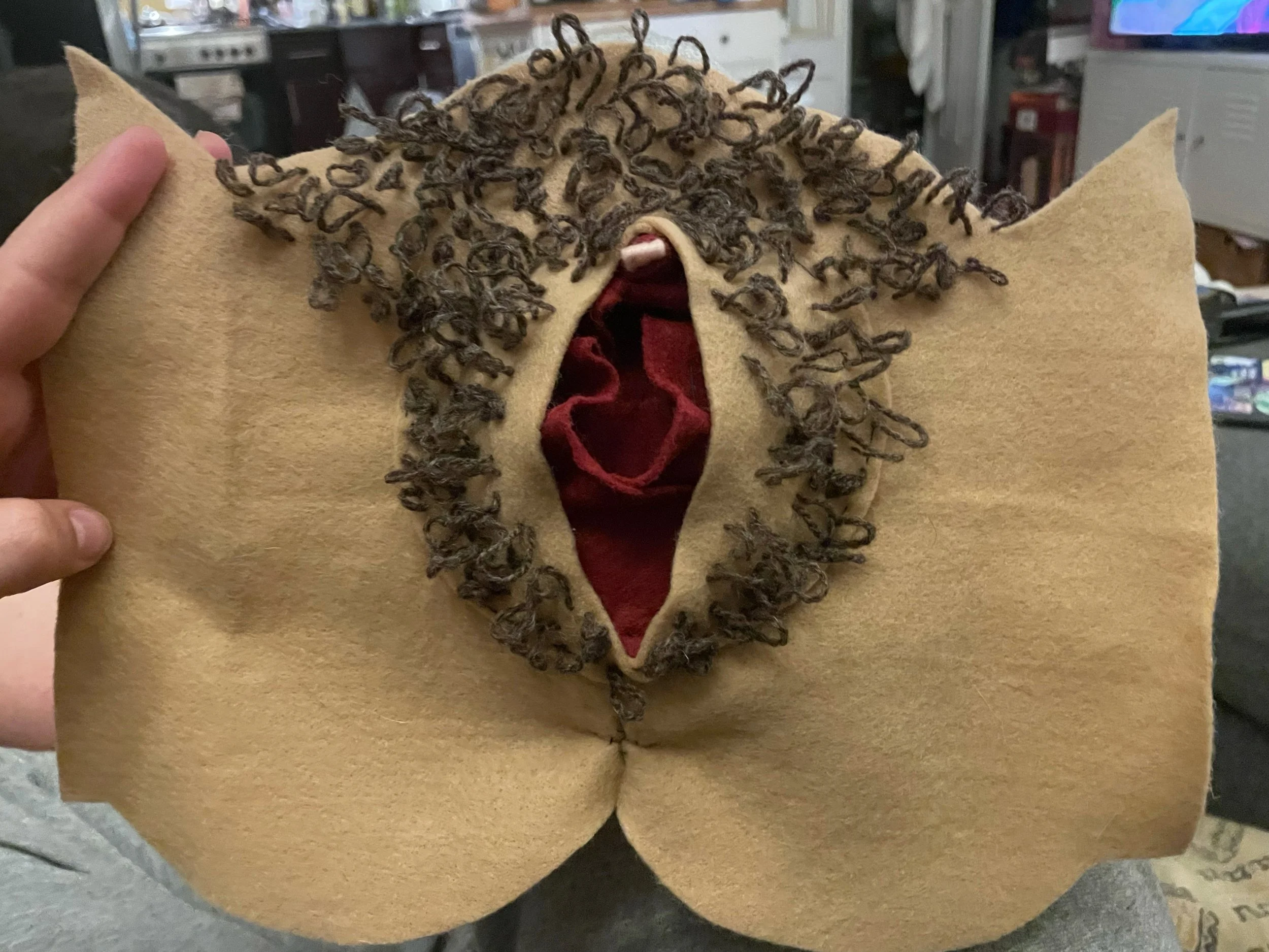 vulva craft.jpeg