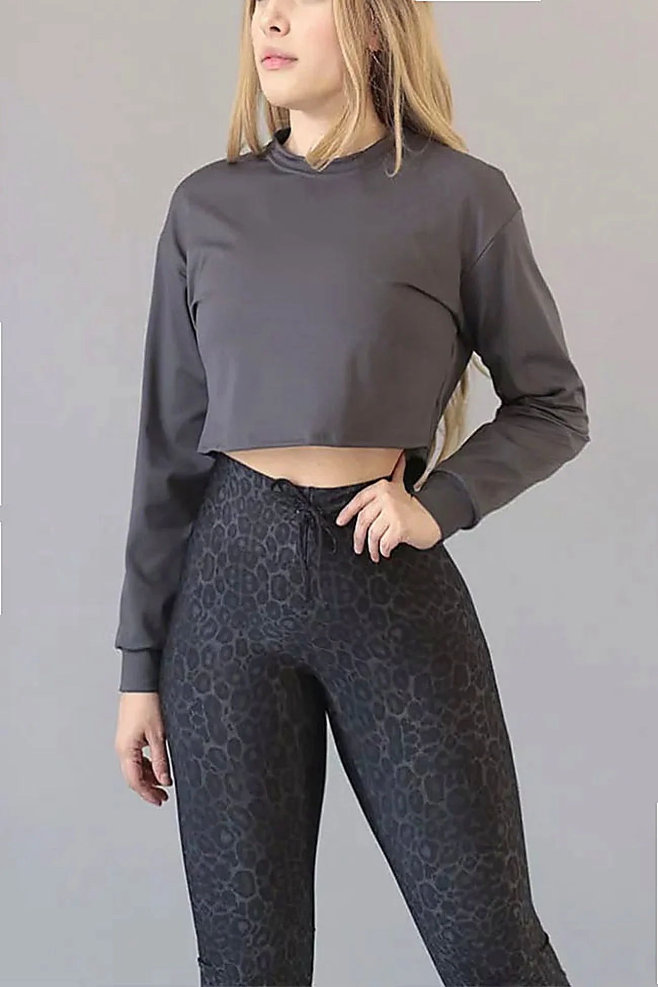 Hoodie Crop Grey Core