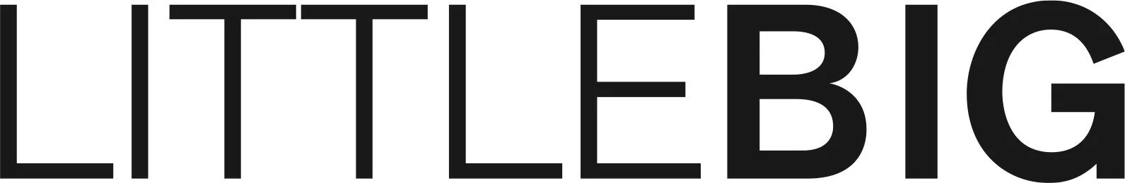 littleBig Agency Logo - quietLoud is empowered by littleBig
