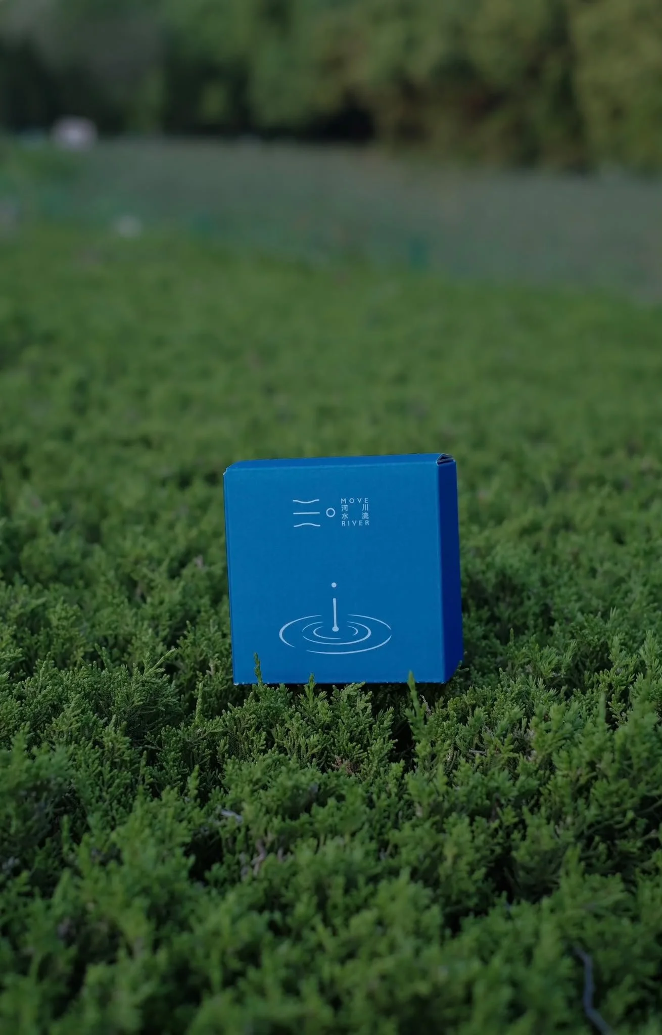 Move River Coffee (Drop coming Friday!)