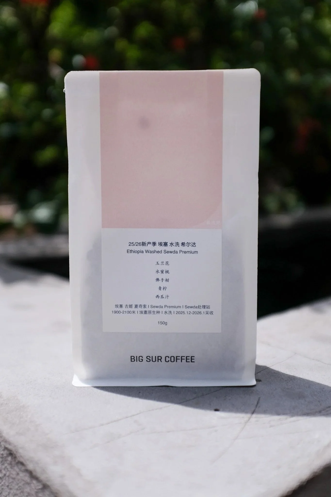 Ethiopia+Washed+Sewda+Premium+150g.jpg