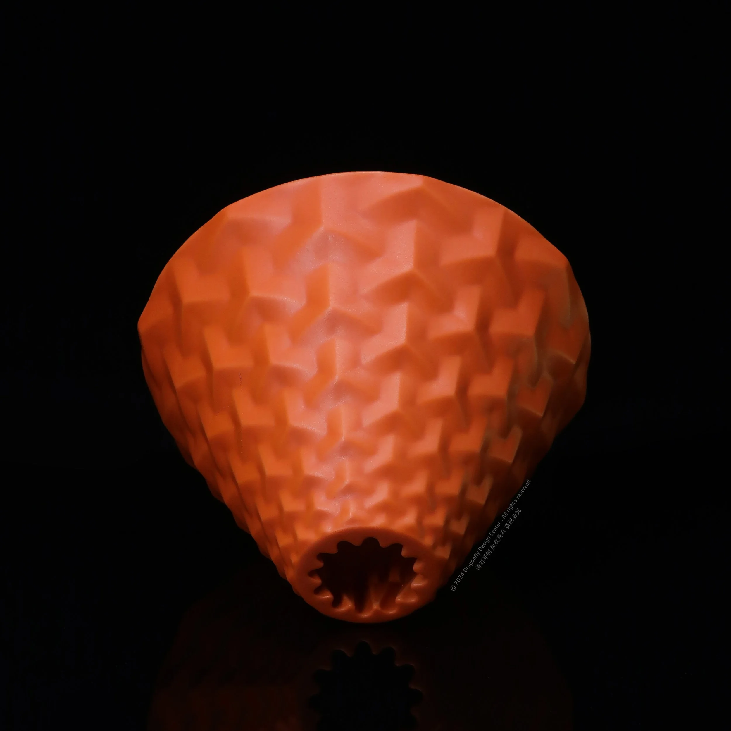 橘山文滤杯 (8).jpg