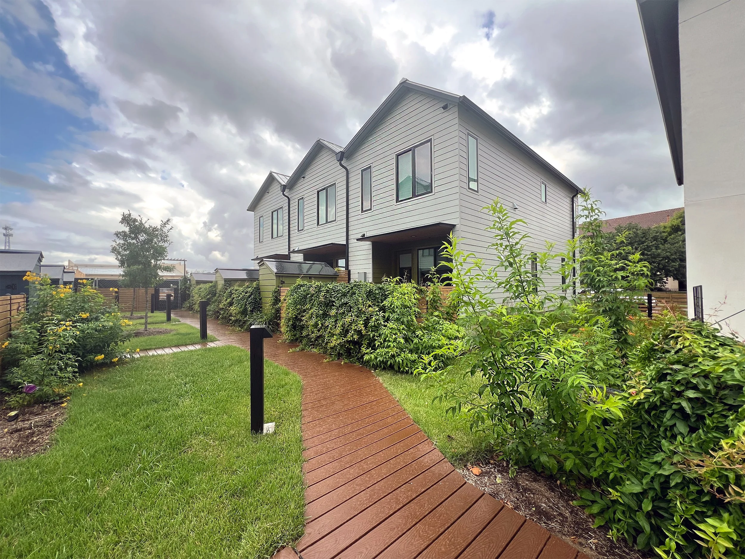  Image of rear fence lines covered in foliage from the shared boardwalk in Phase 1. 