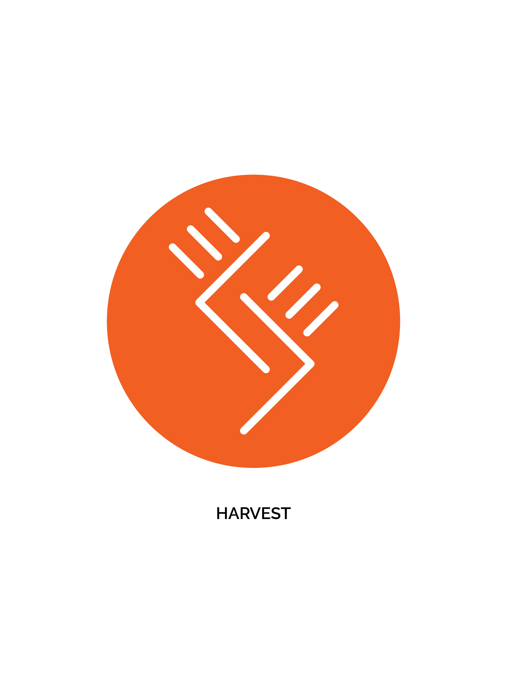 Behind the Scenes: The Neighborhood Emblems