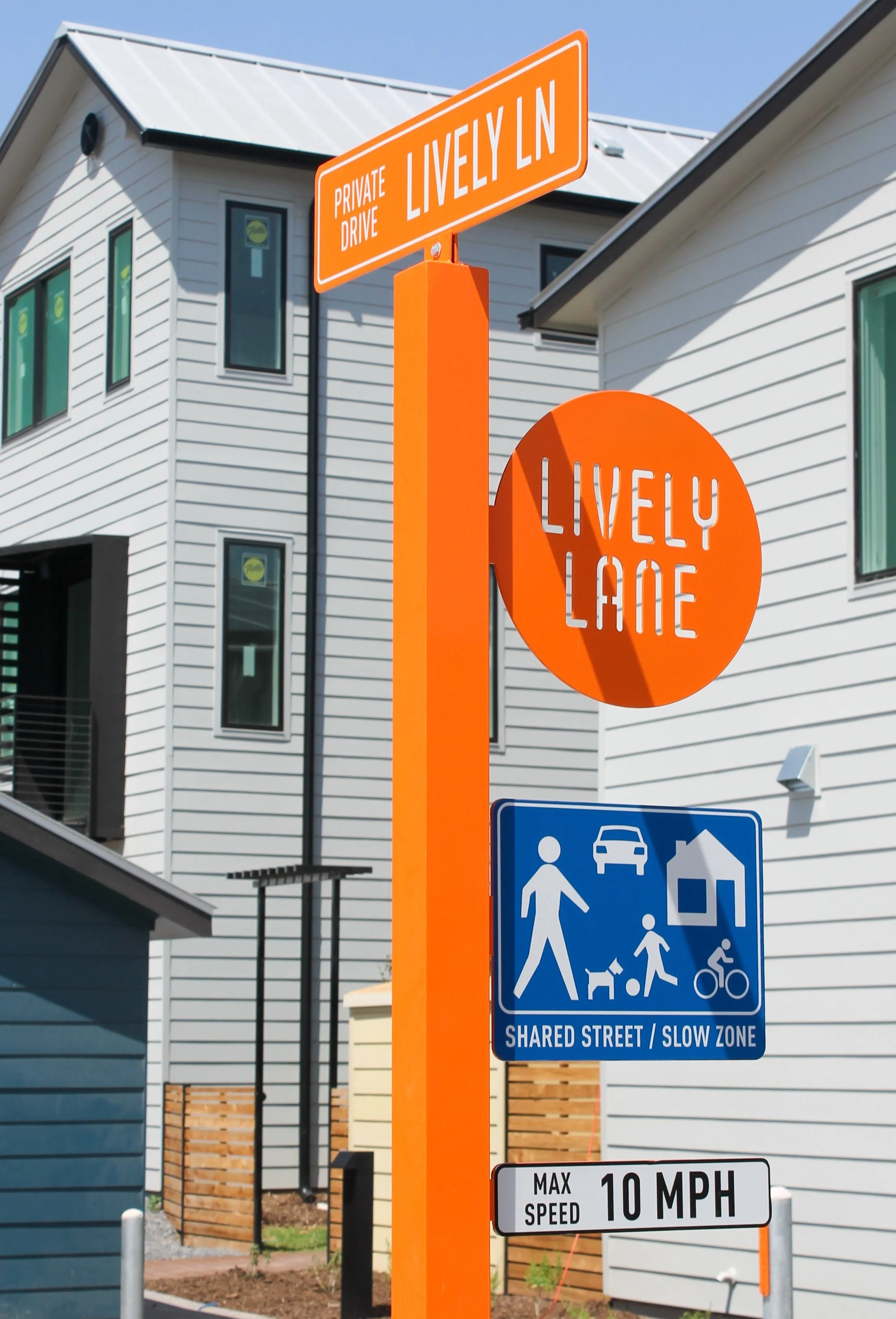 Lively Lane Shared Drive