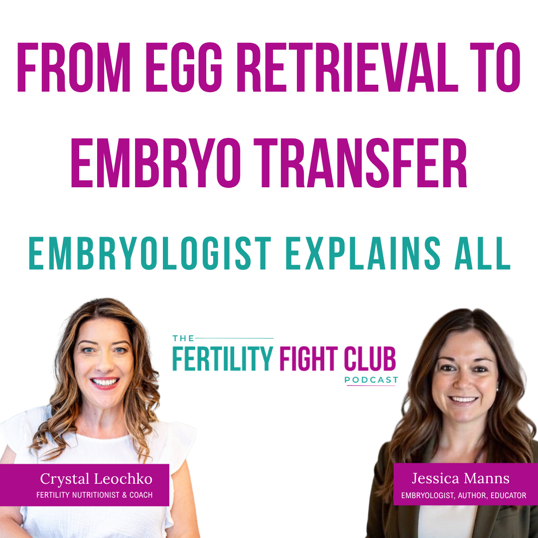 Episode 4 From Egg Retrieval to Embryo Transfer