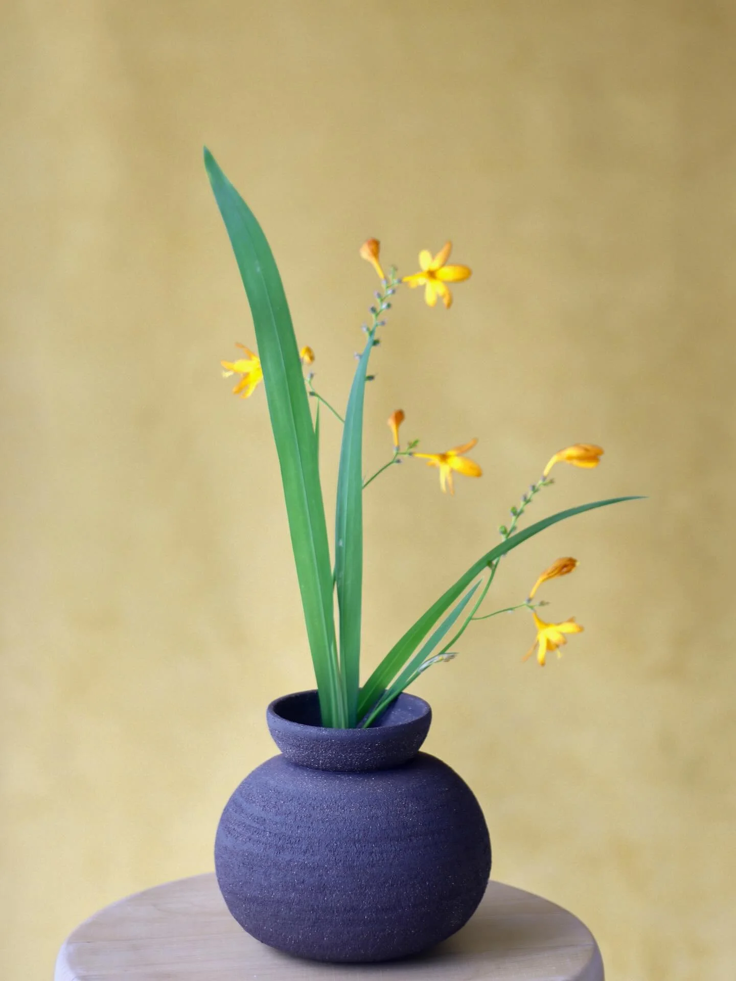 It&rsquo;s Crocosmia season, and when these flowers popped up in the garden, I jumped on the opportunity to photograph a couple of recent vases that had been waiting for their beauty shots.

This one was inspired by a round ginger jar I inherited fro