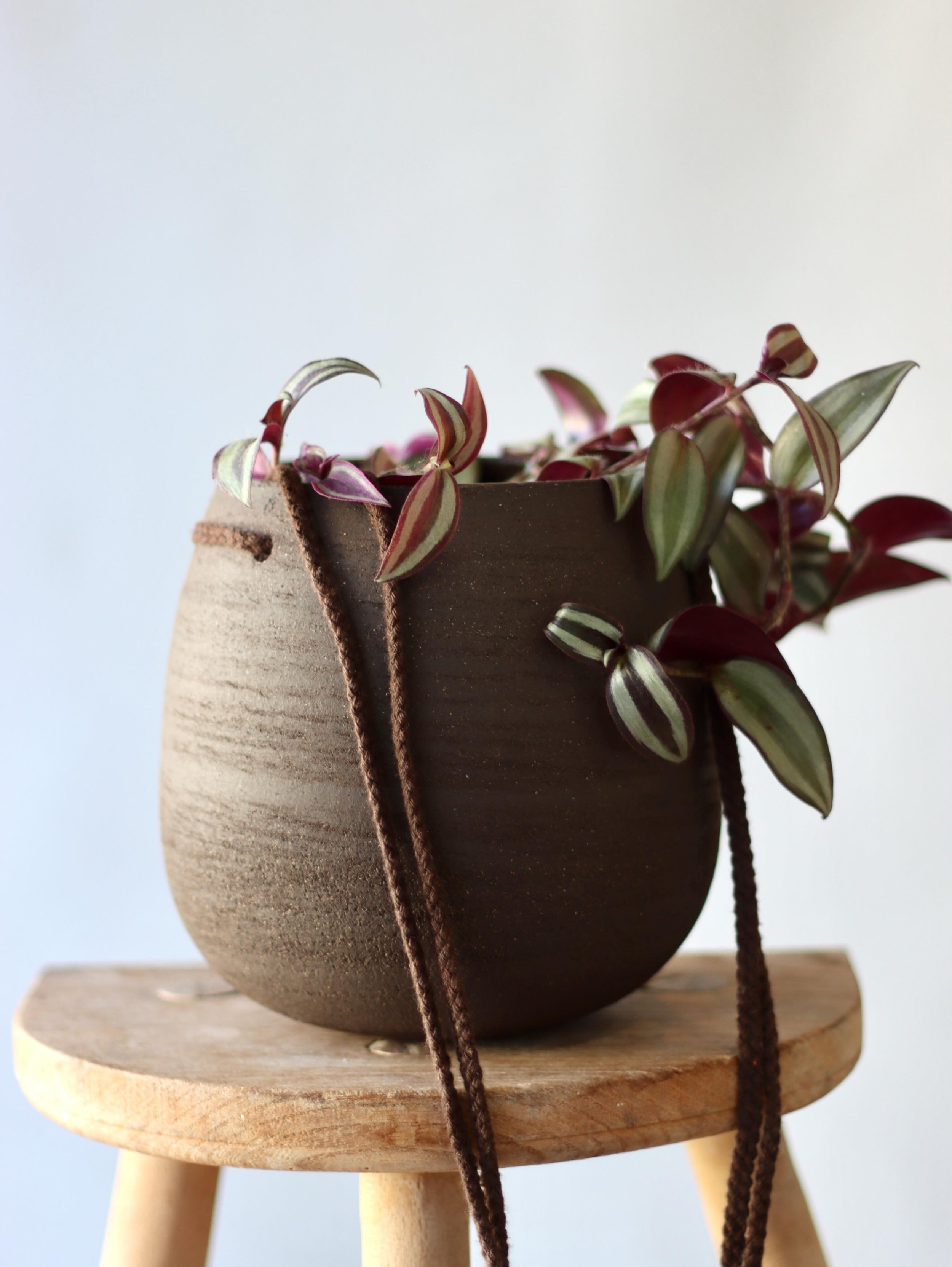 It&rsquo;s been so hot lately that part of my brain feels like it&rsquo;s melted. I&rsquo;d love to have something fun or clever to say about this pot, but I just can&rsquo;t. So for now, here are a few photos of this hanging planter that I loved mak