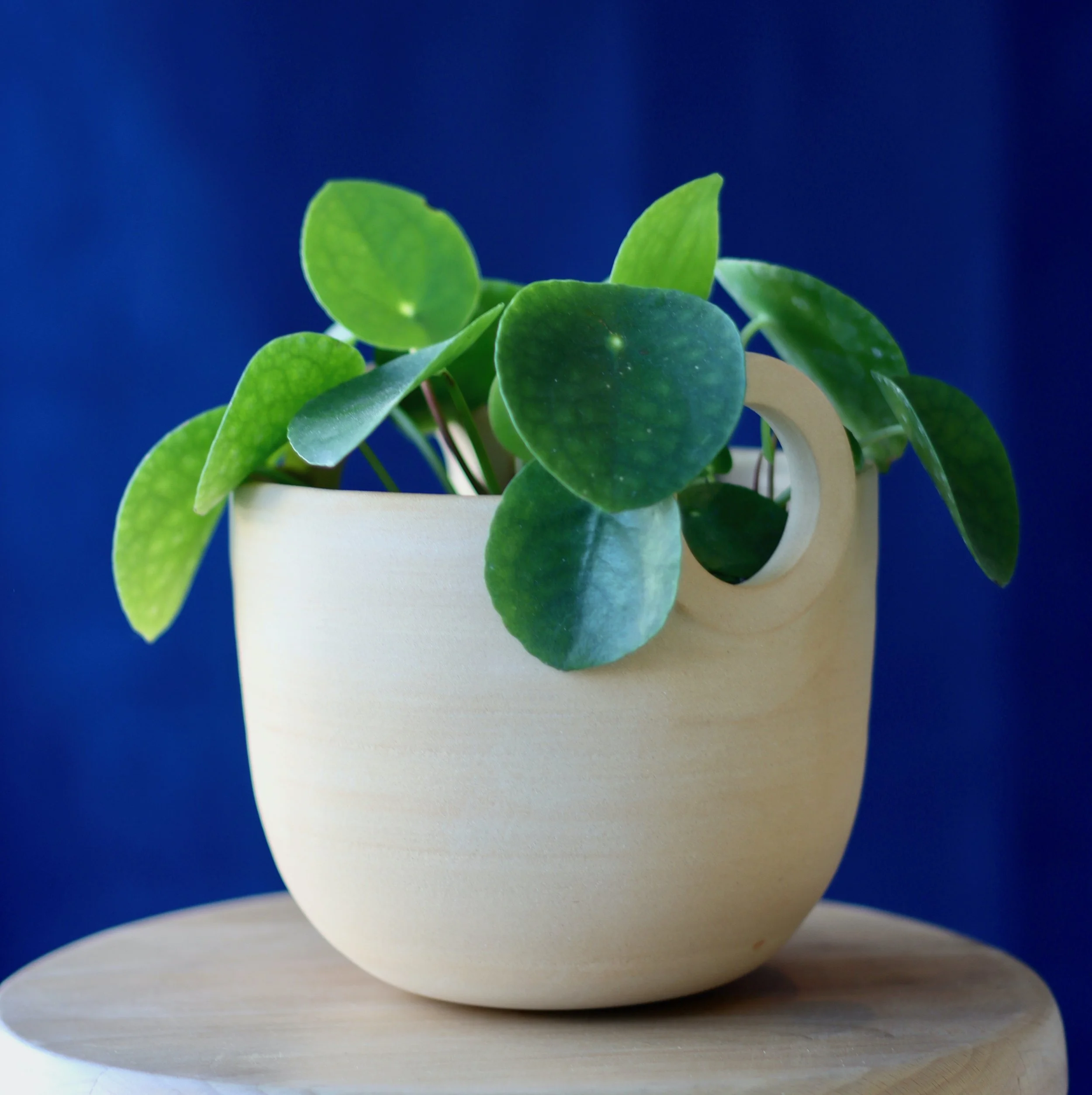 Pot à anses - grès roux