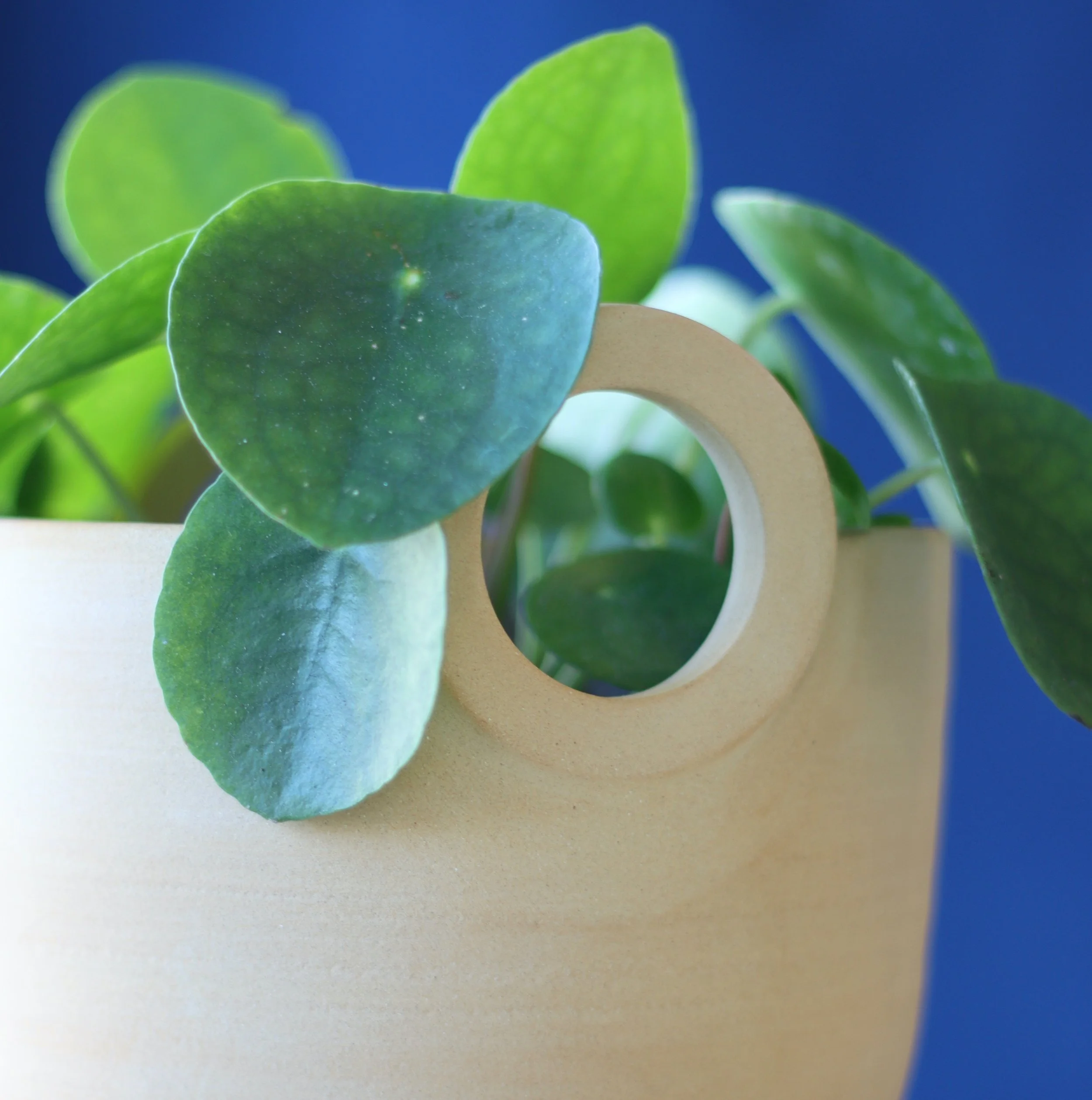 Pot à anses_grès roux_1.jpeg