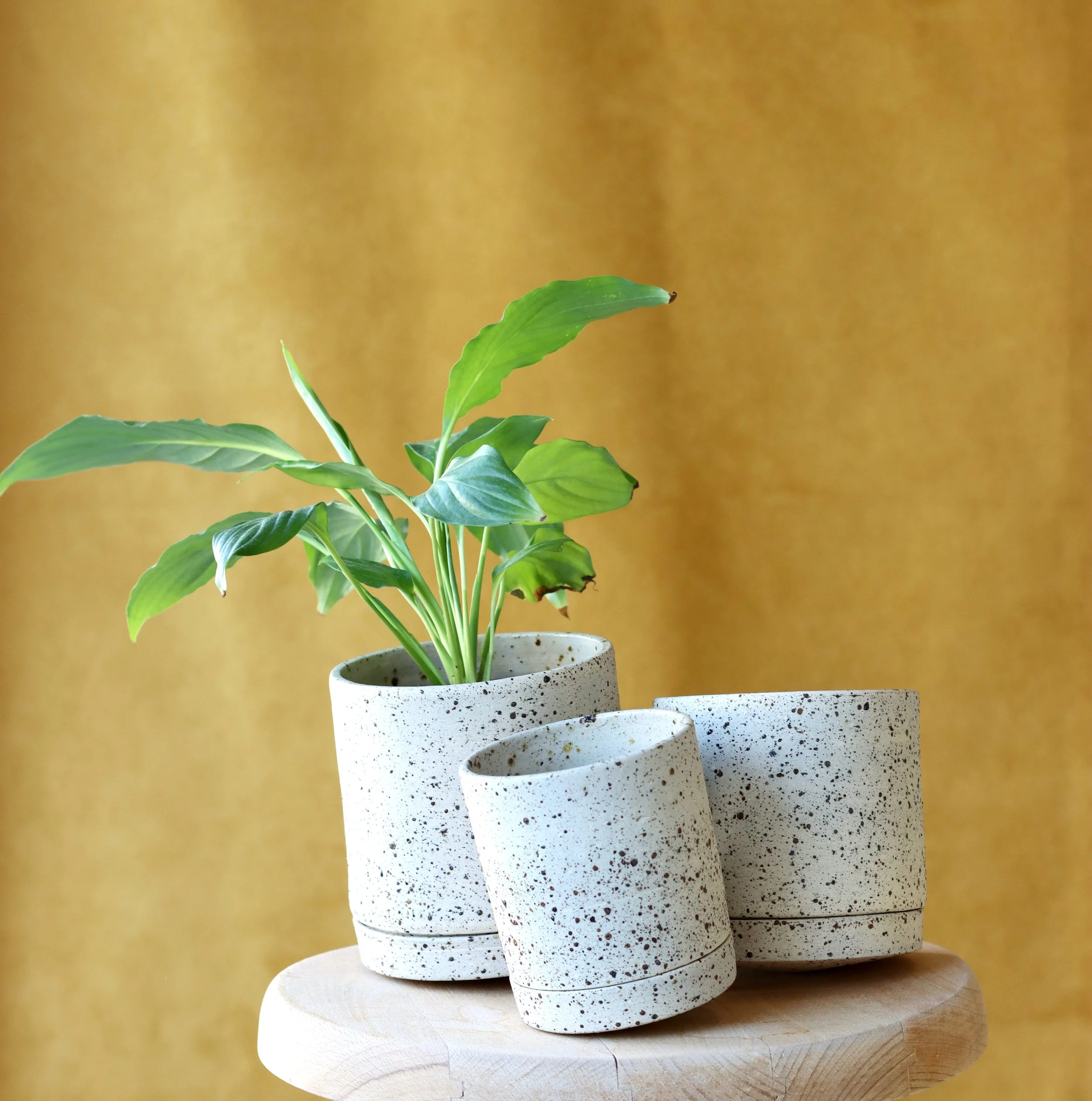 Pot dançant_grès moucheté_1.jpeg