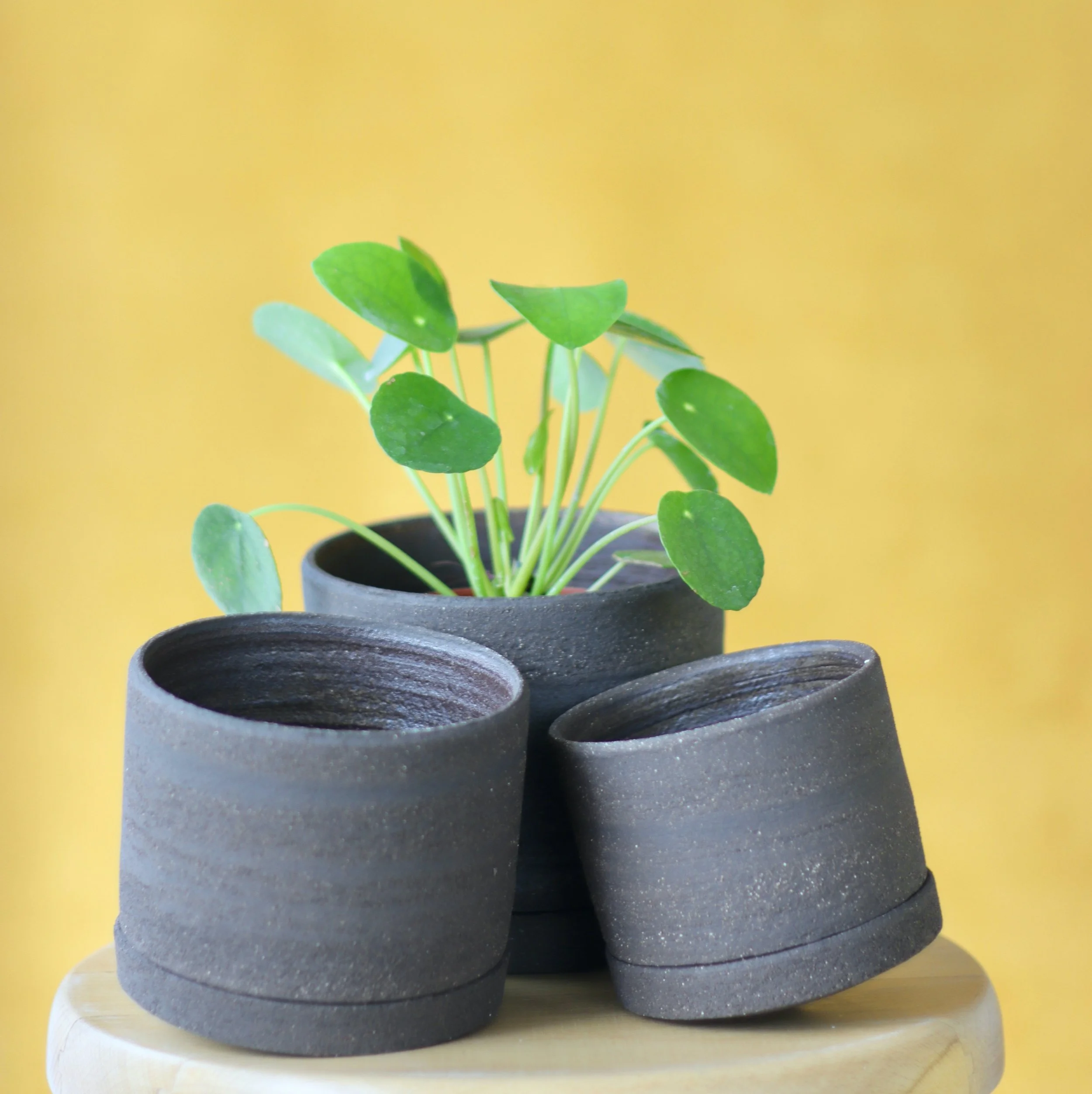 Pots dançants_grès noir_1.jpeg