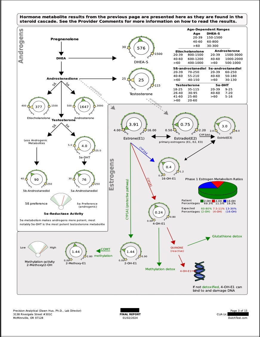 Test pathway(alpha).jpg