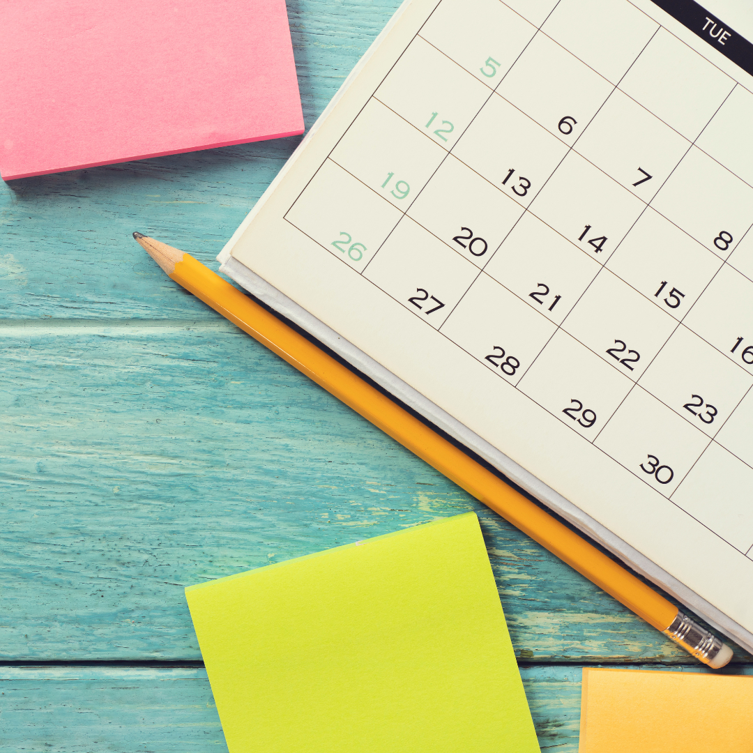 Your Mid-Year Business Check-In: Time for Intentional Recalibration