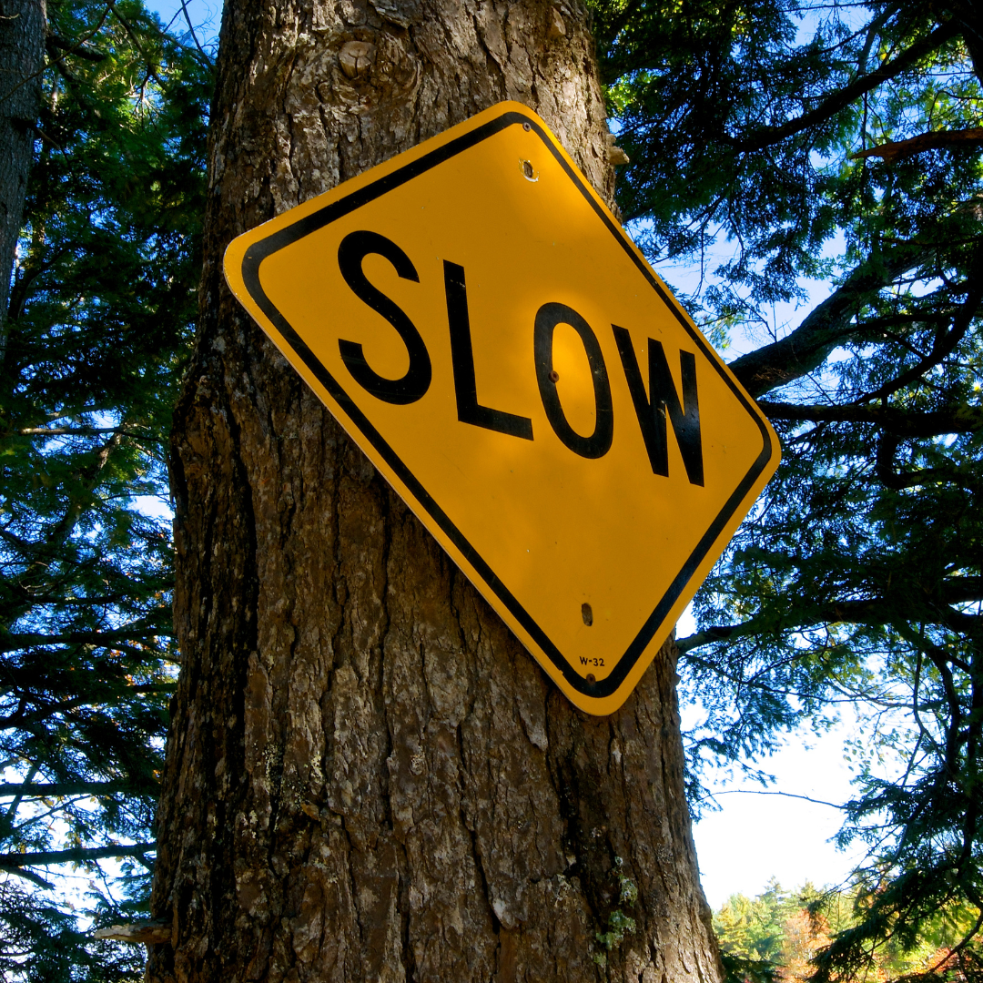 The Courage to Build Slowly: Why Strong Foundations Matter More Than Fast Growth