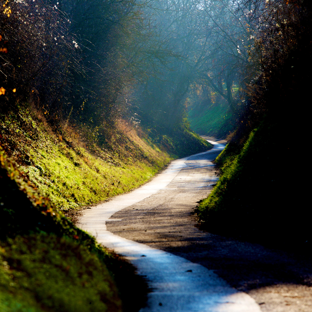Finding My People on the Pathless Path