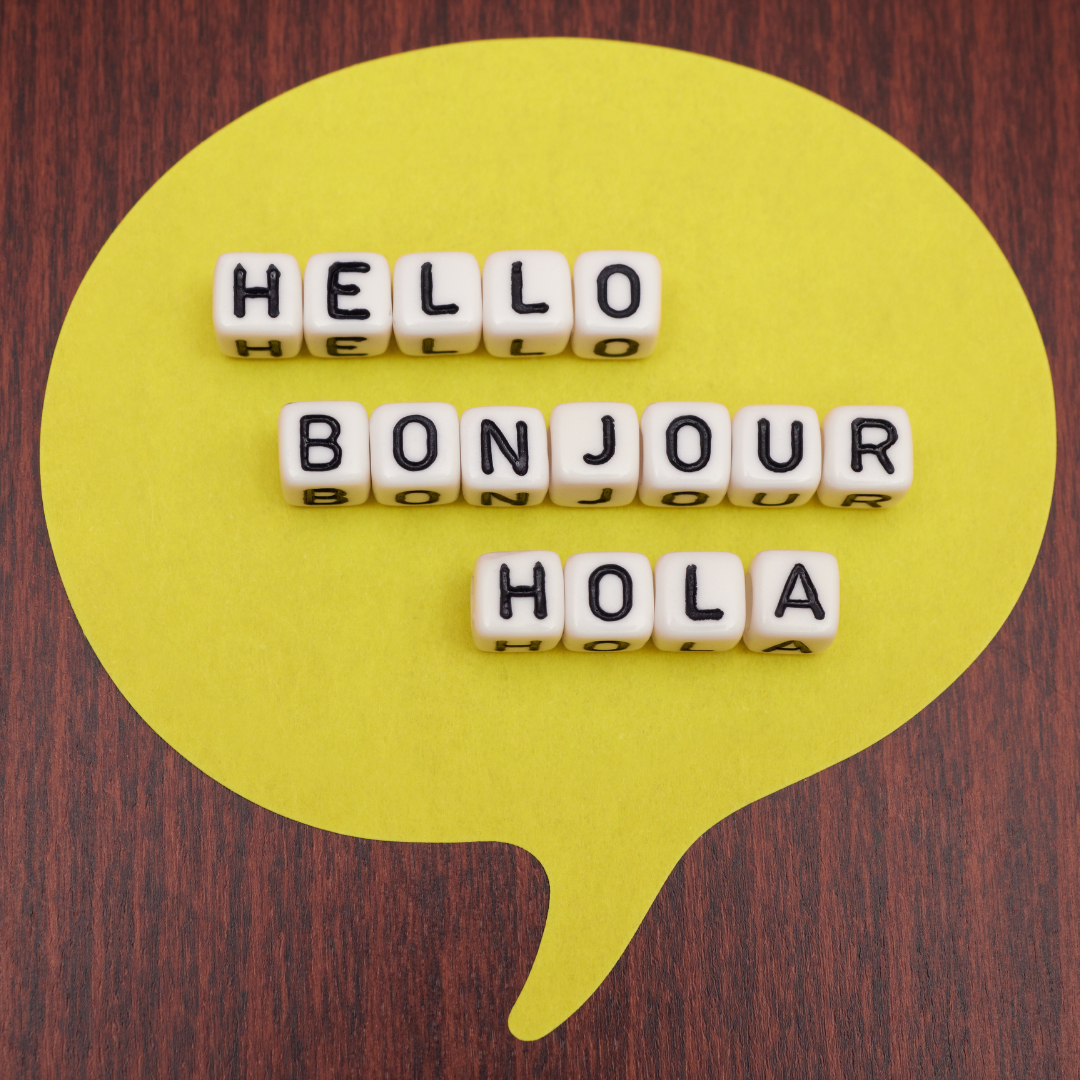 Hello, Bonjour:&nbsp; A Networking Guide for Ambitious Introverted Immigrants