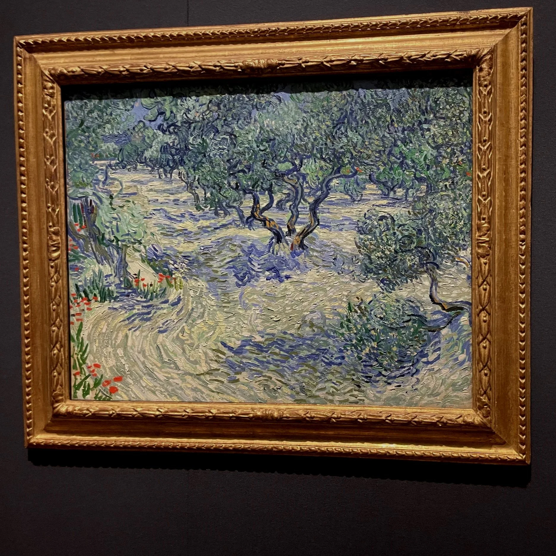 Van Gogh Olive Trees