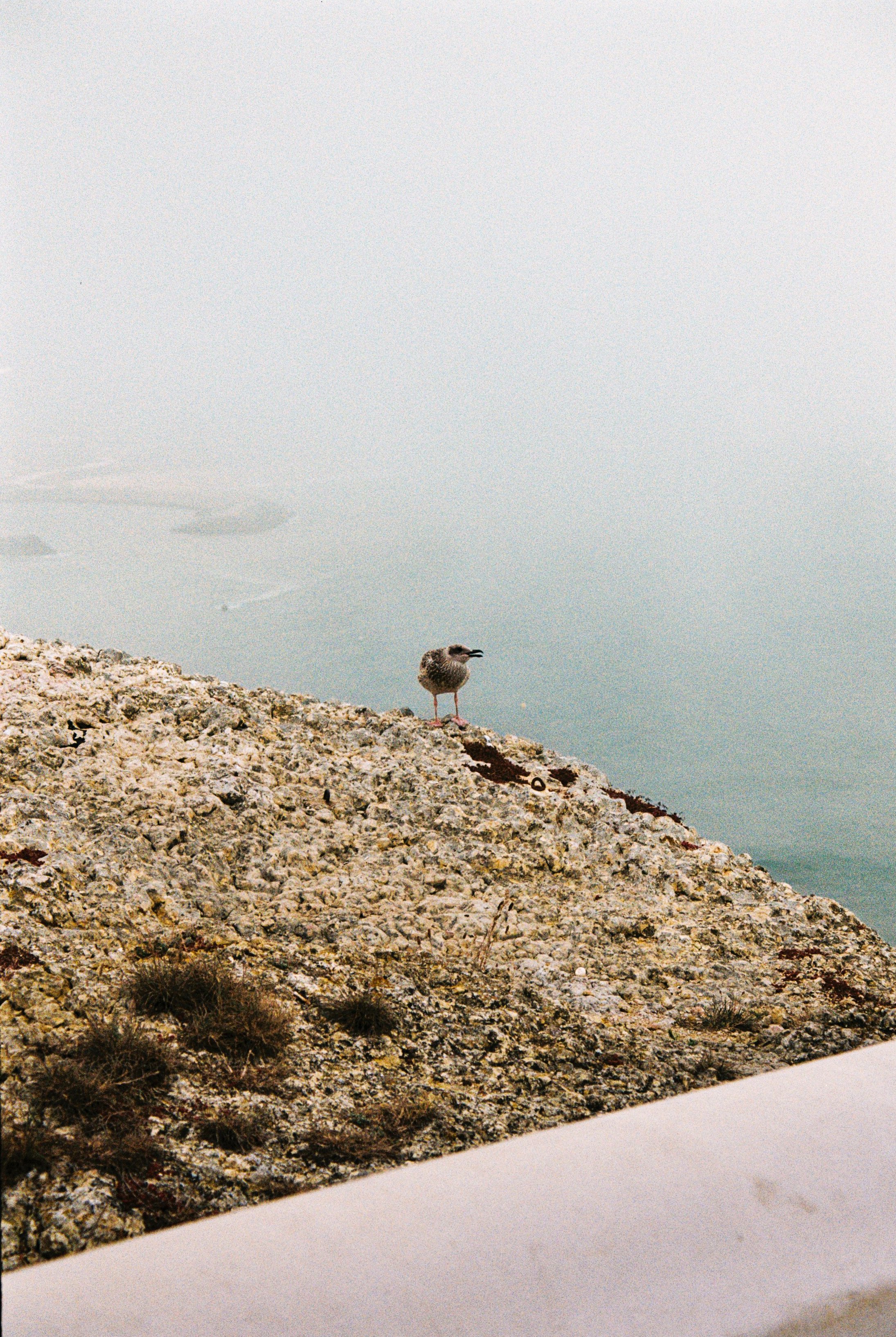 JAIMEFERREIRA-31_Edit.jpg