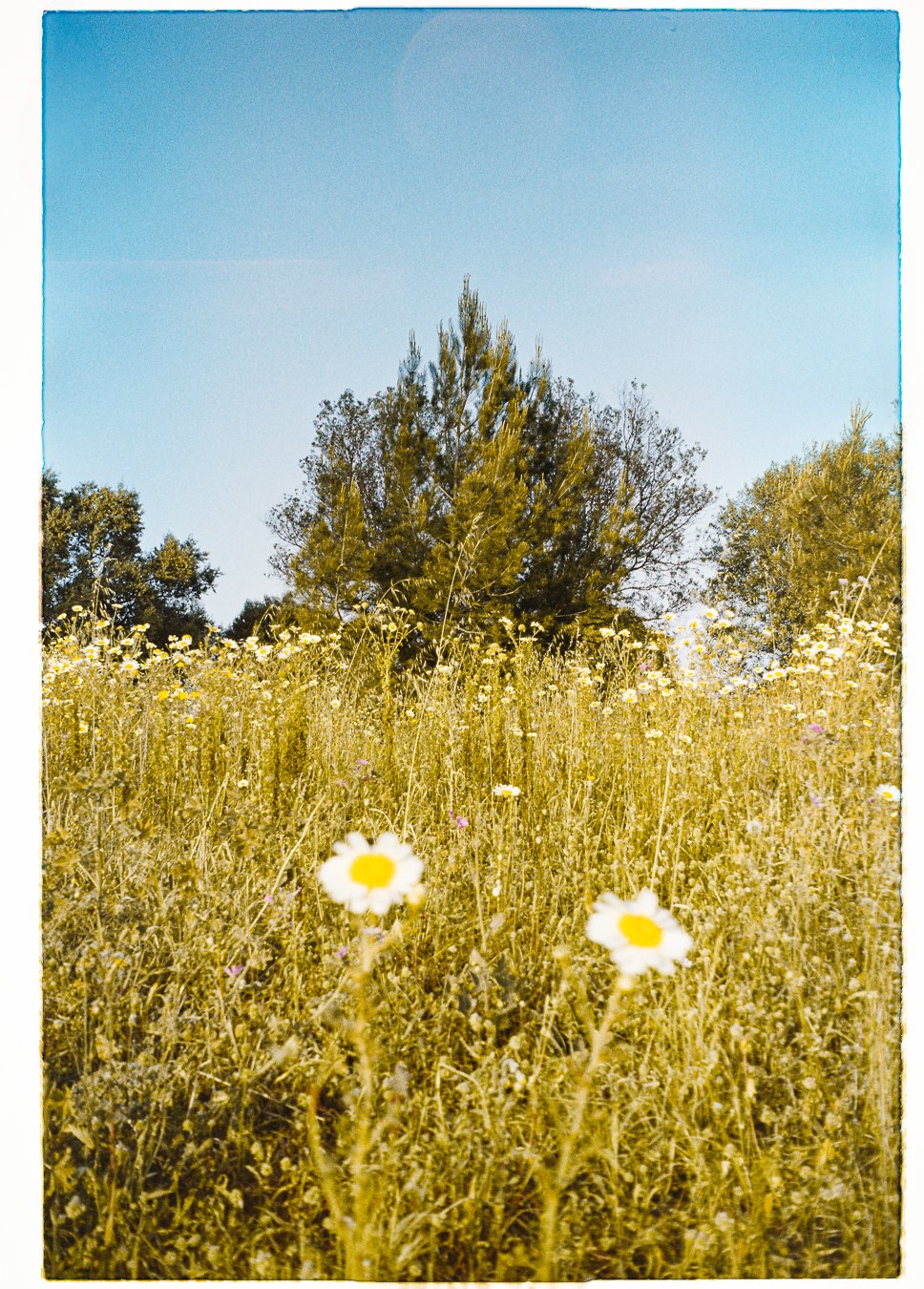 JAIMEFERREIRA -0009.jpg