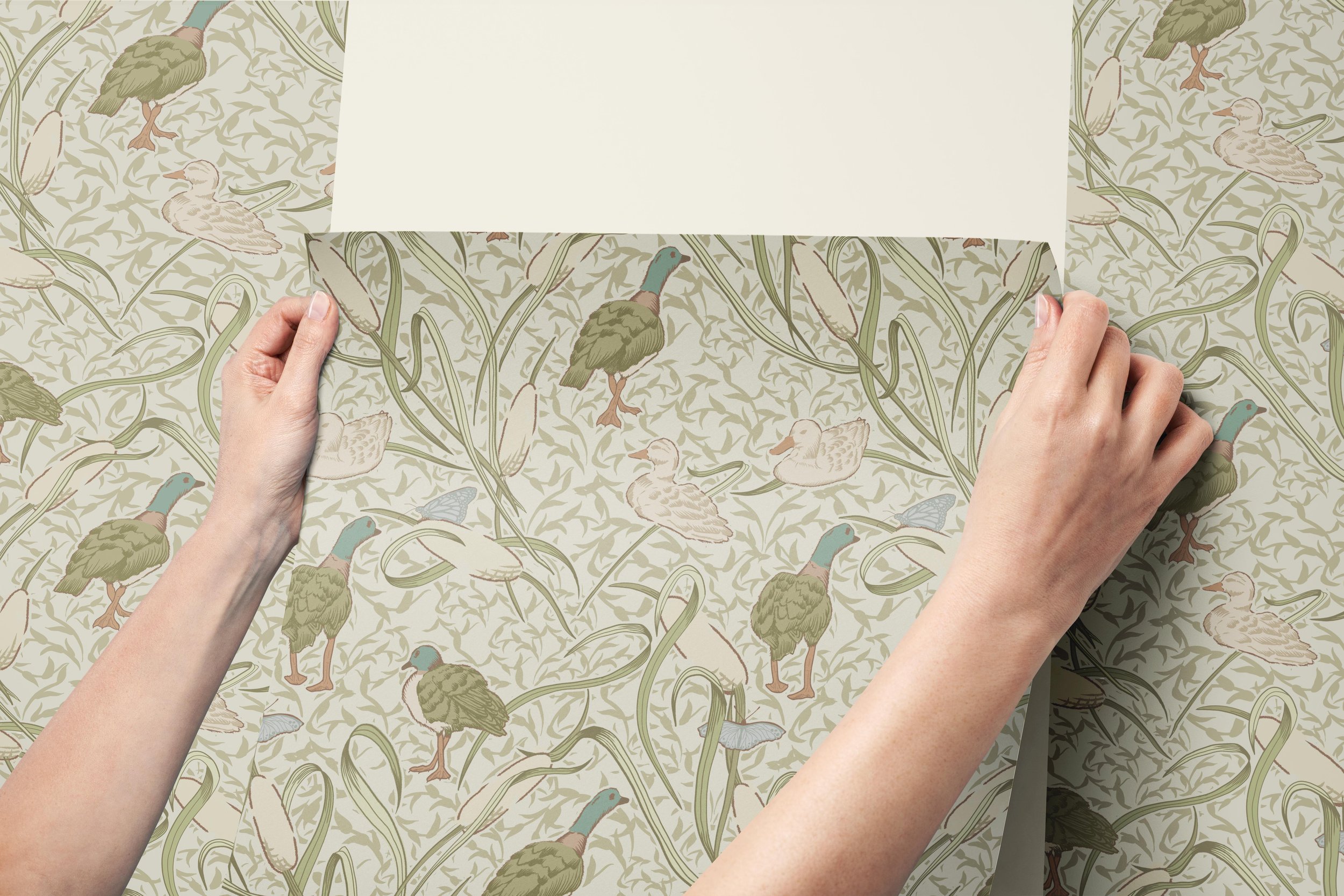 holding flora fauna wallpaper .jpg