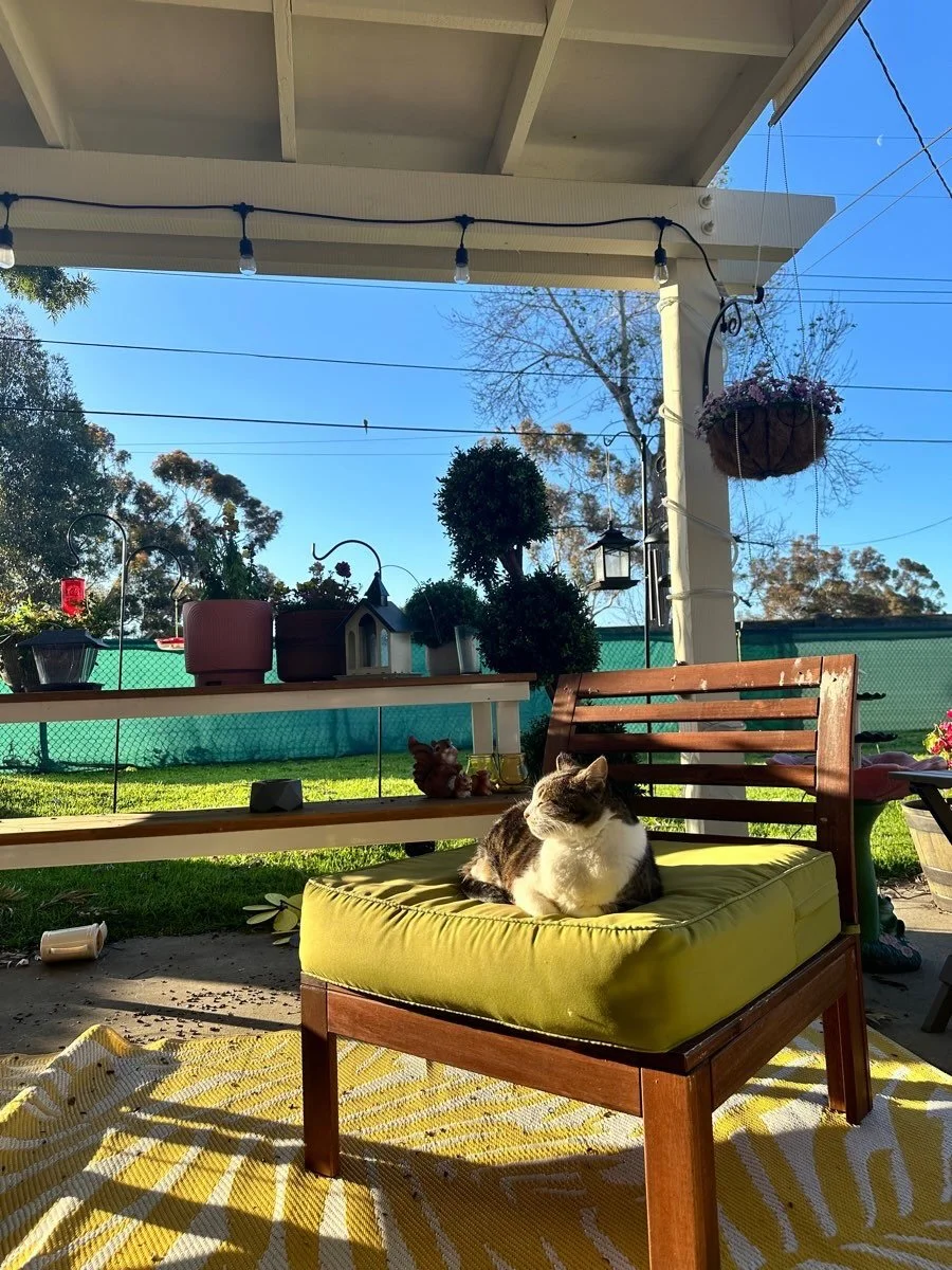 Today we had to say goodbye to our dumpling baby, Miss Dublyn. Kyle adopted her on St. Patrick&rsquo;s Day in 2013. She&rsquo;s always been our little Dubby. She was the sweetest baby, always patient, always along for the ride. She had the silkiest s