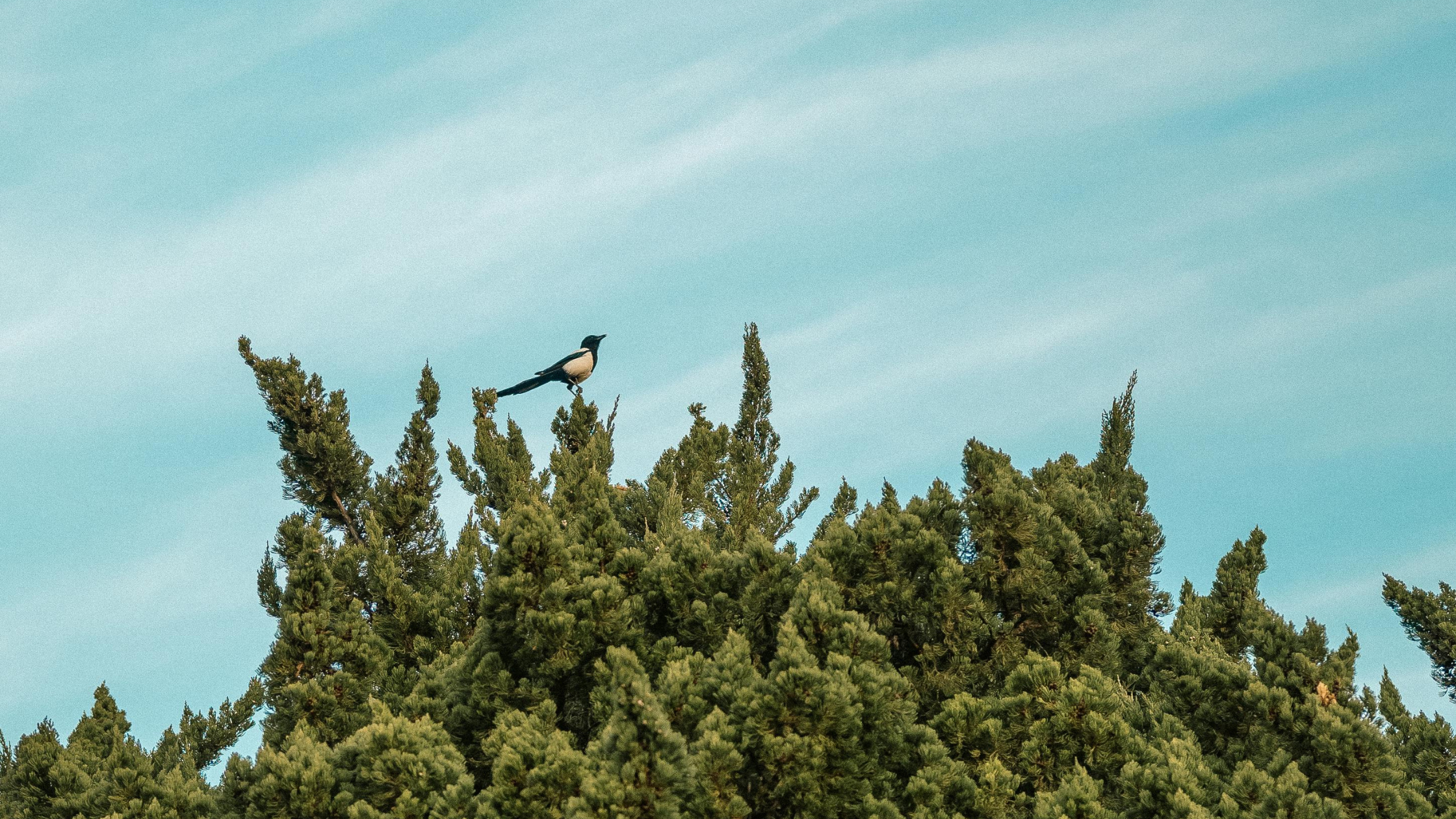 I Finally Deleted Social Media: Here’s What Happened to My Business (and My Brain)