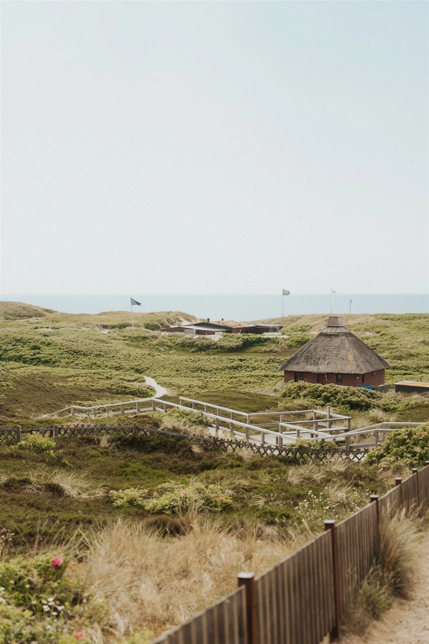 Blick auf die Dünen von Hörnum, Weg zur Hochzeitslocation Kap Horn, in den Dünen verteilt sind kleine Reetdachhäuser , einige Flaggen wehen im Wind, im Hintergrund die Nordsee und der blaue Himmel.