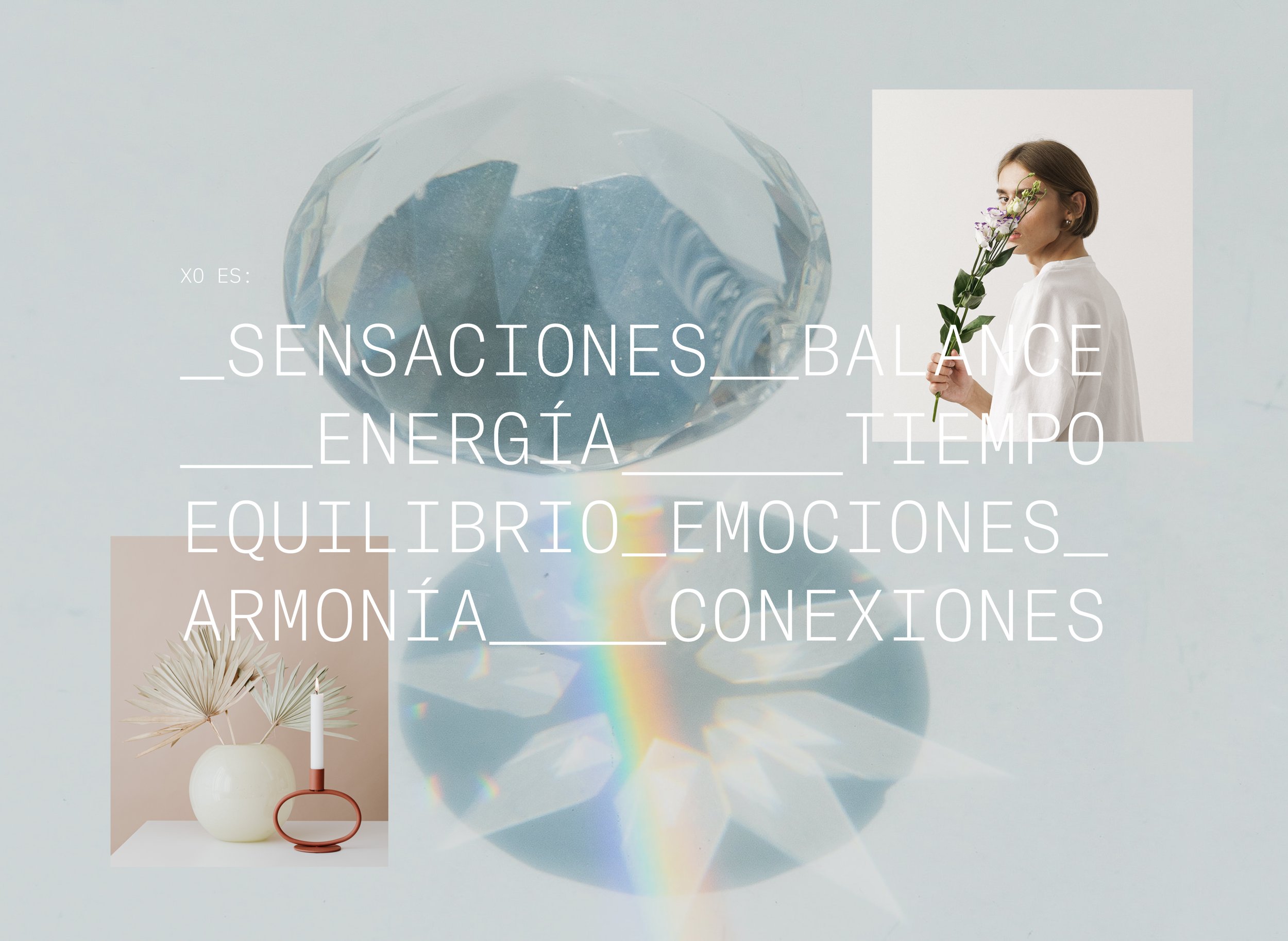 XO_Behance_Project-02.jpg