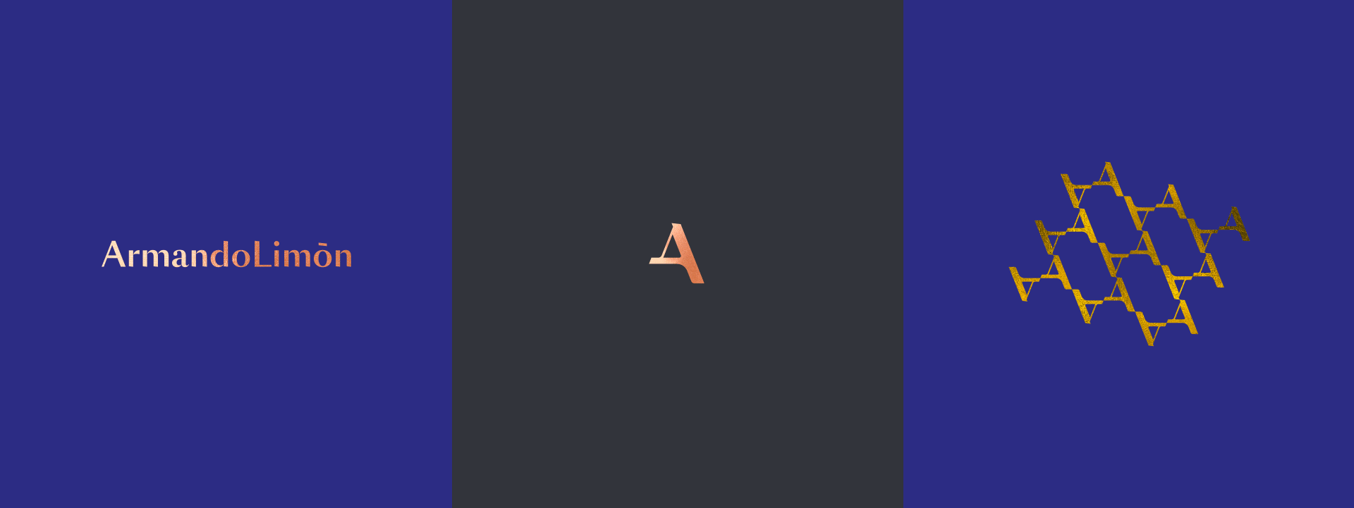 AL_Proyecto_Web_3.gif