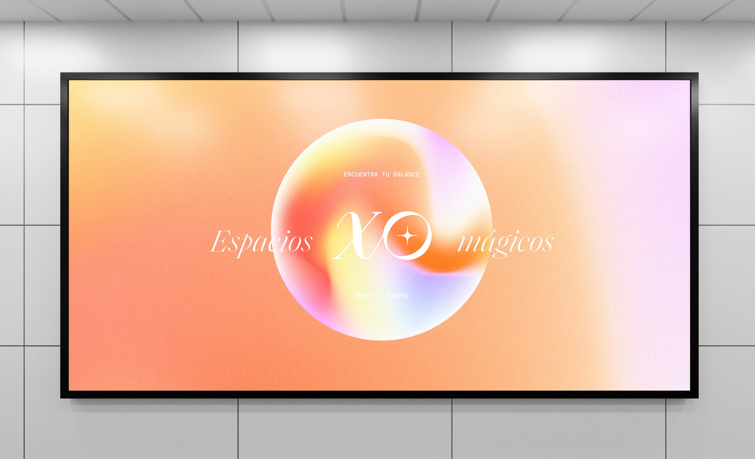 XO_Behance_Project-17.jpg