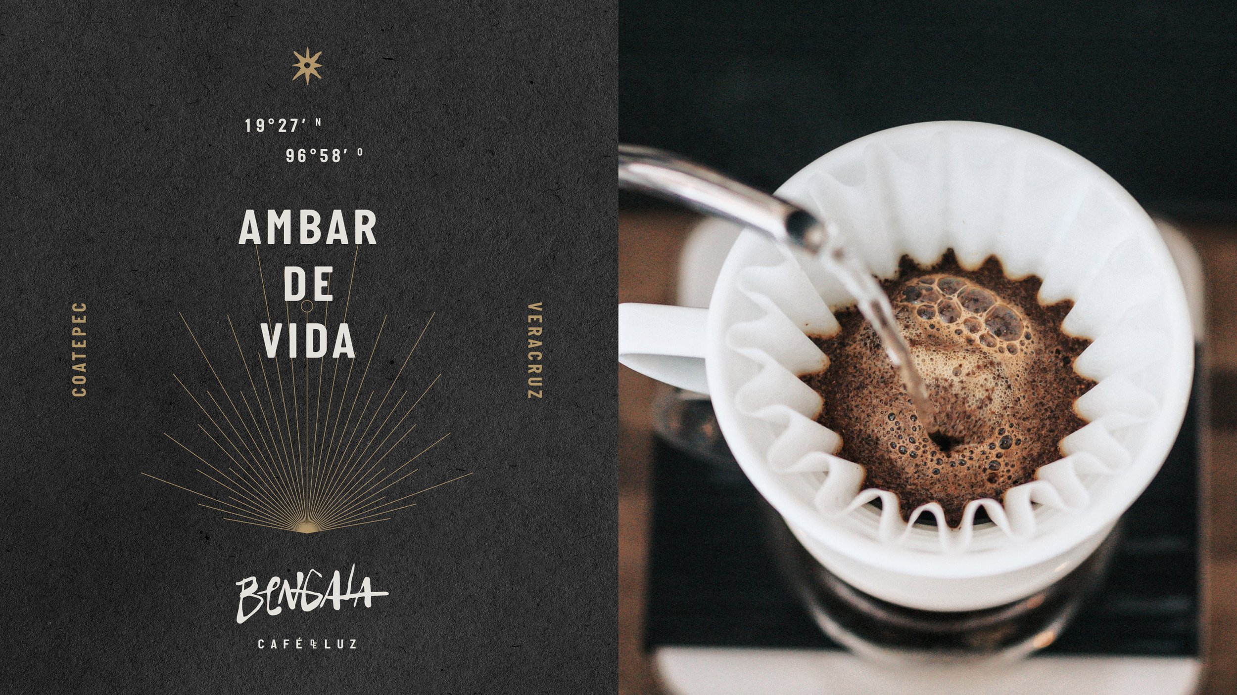 Bengala_Presentación-de-Proyecto_Behance-03.jpg