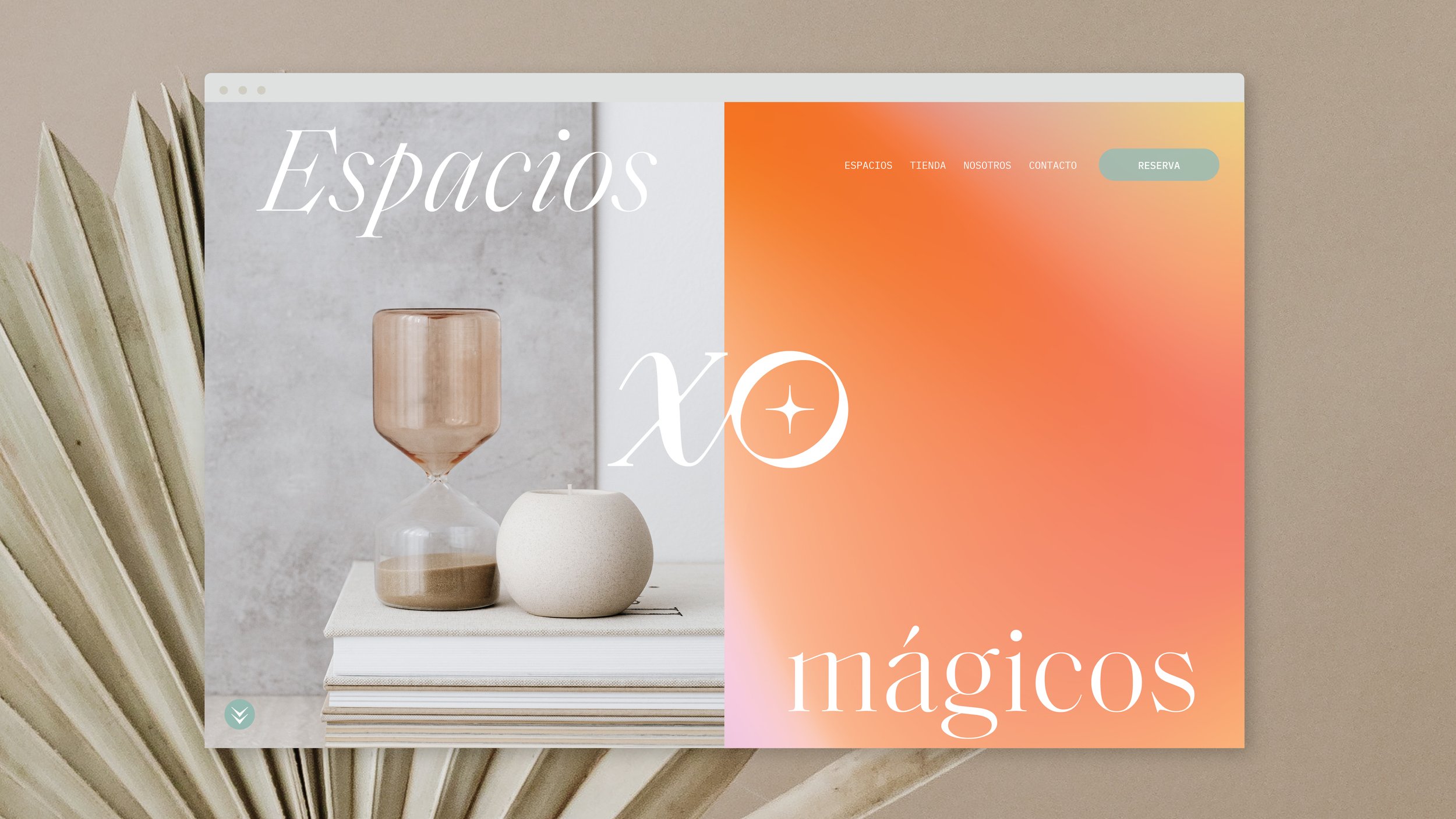 XO_Behance_Project-14.jpg