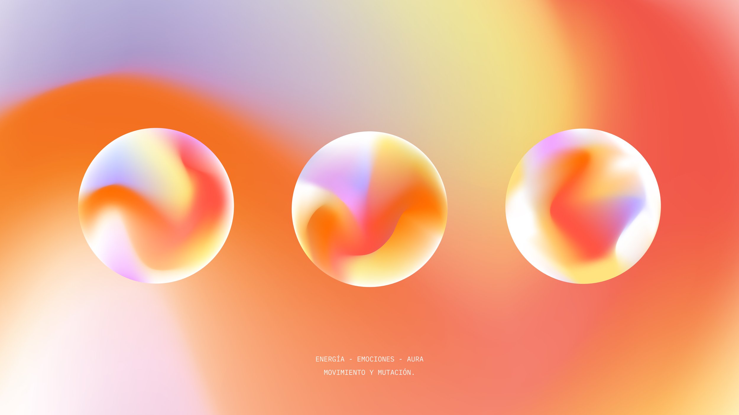 XO_Behance_Project-04.jpg