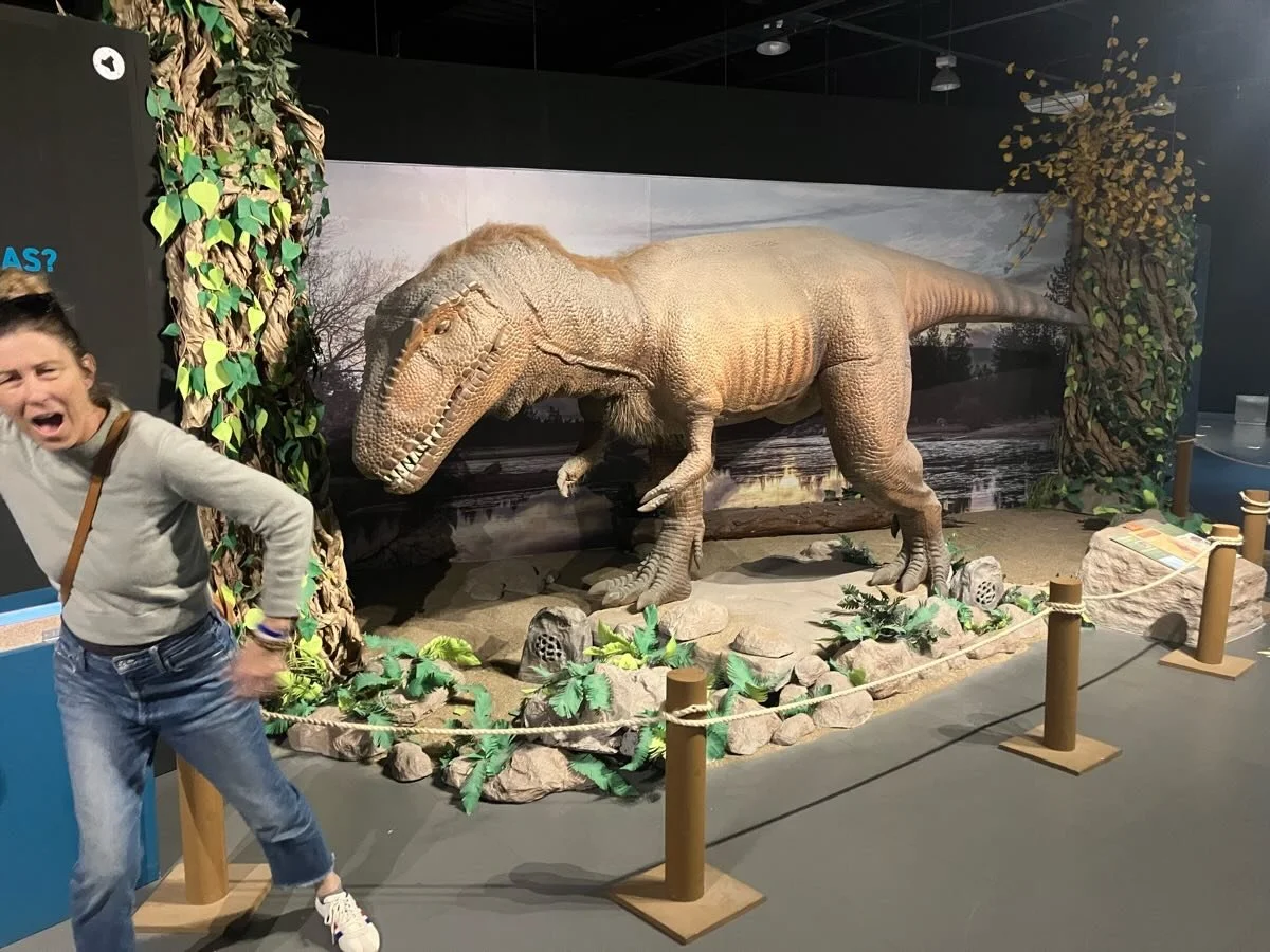DINO DNA 🦖🦖🦖