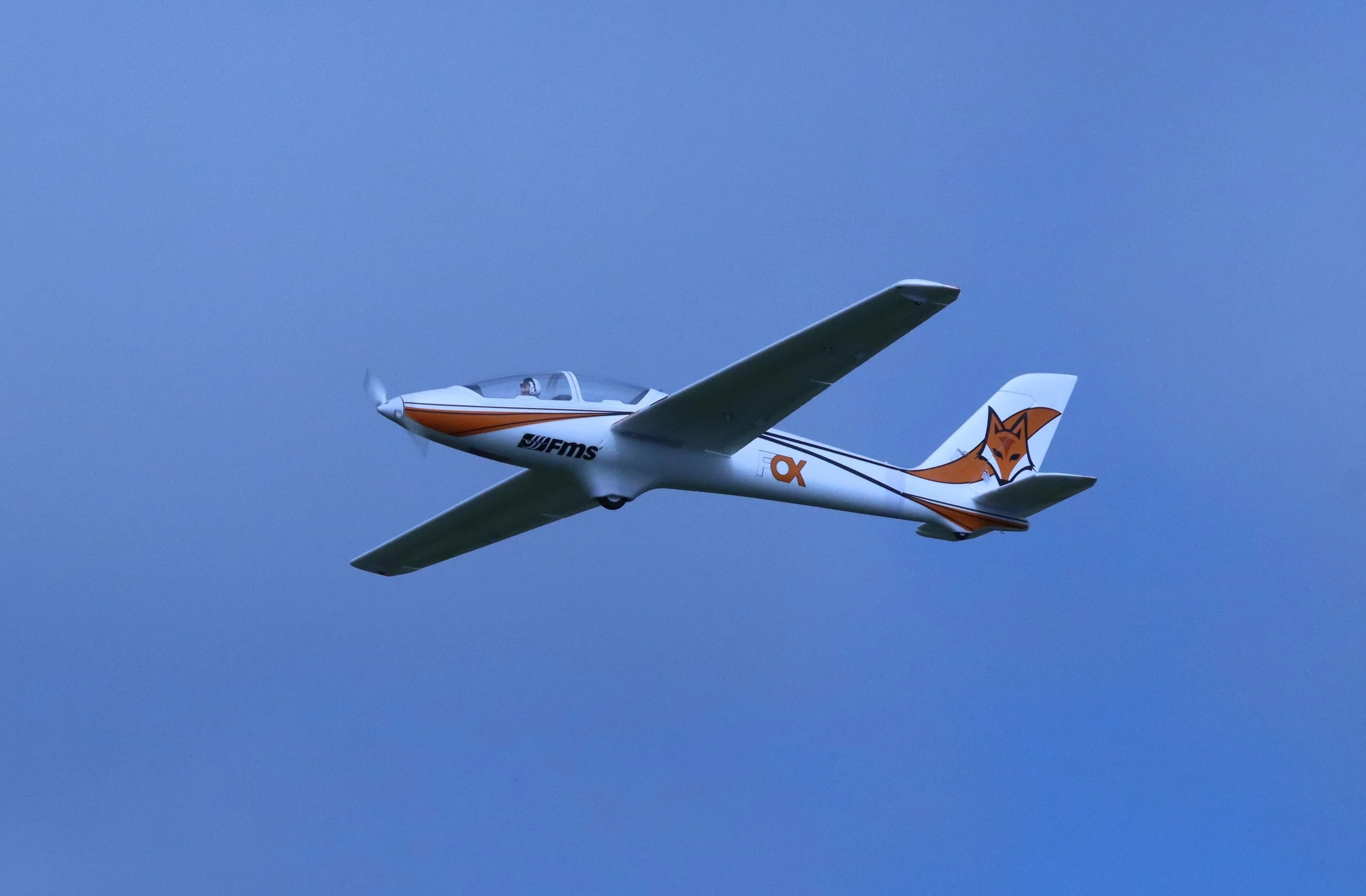 IMG_8069.JPG