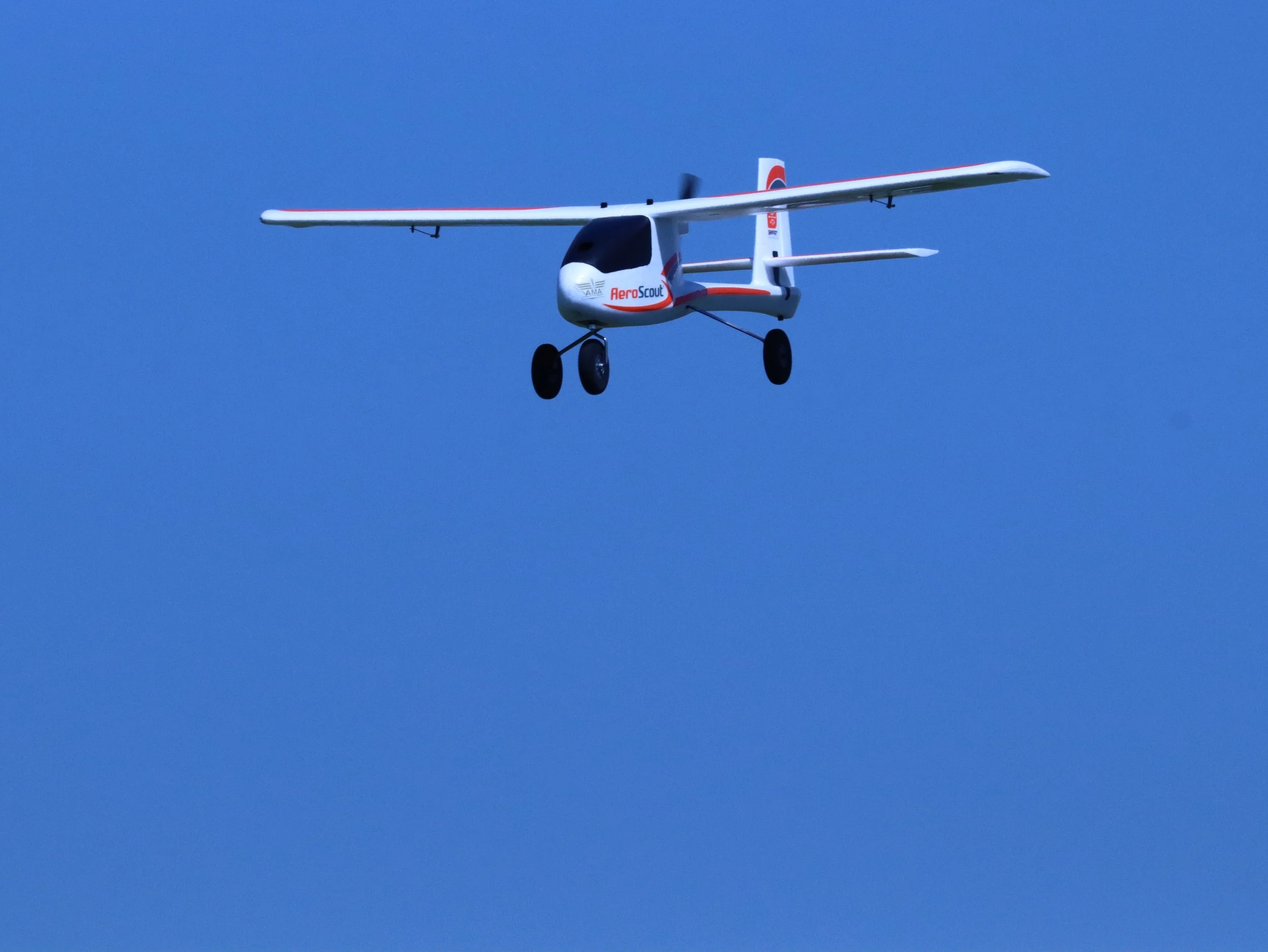 IMG_8396.JPG