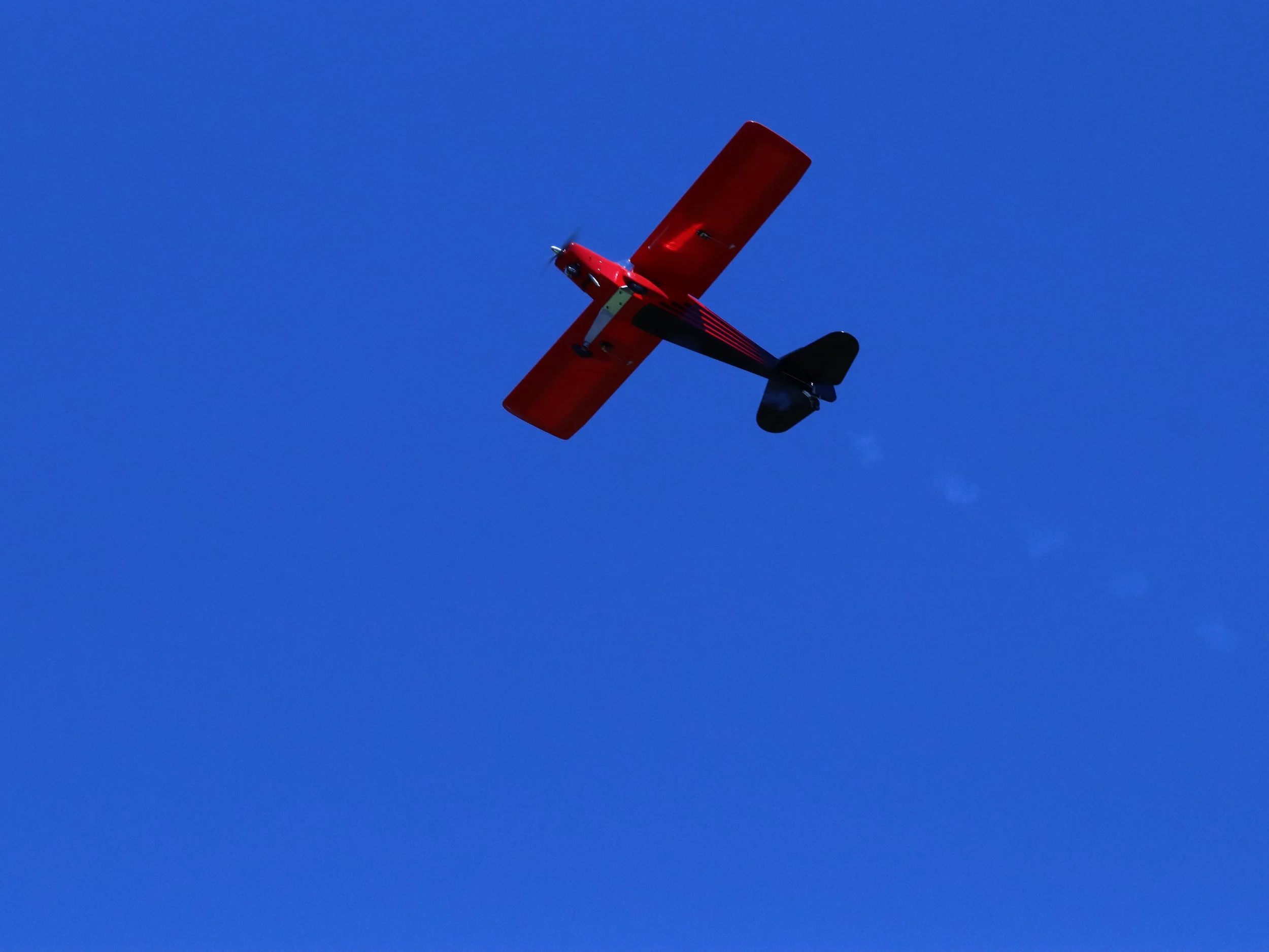 IMG_8766.JPG