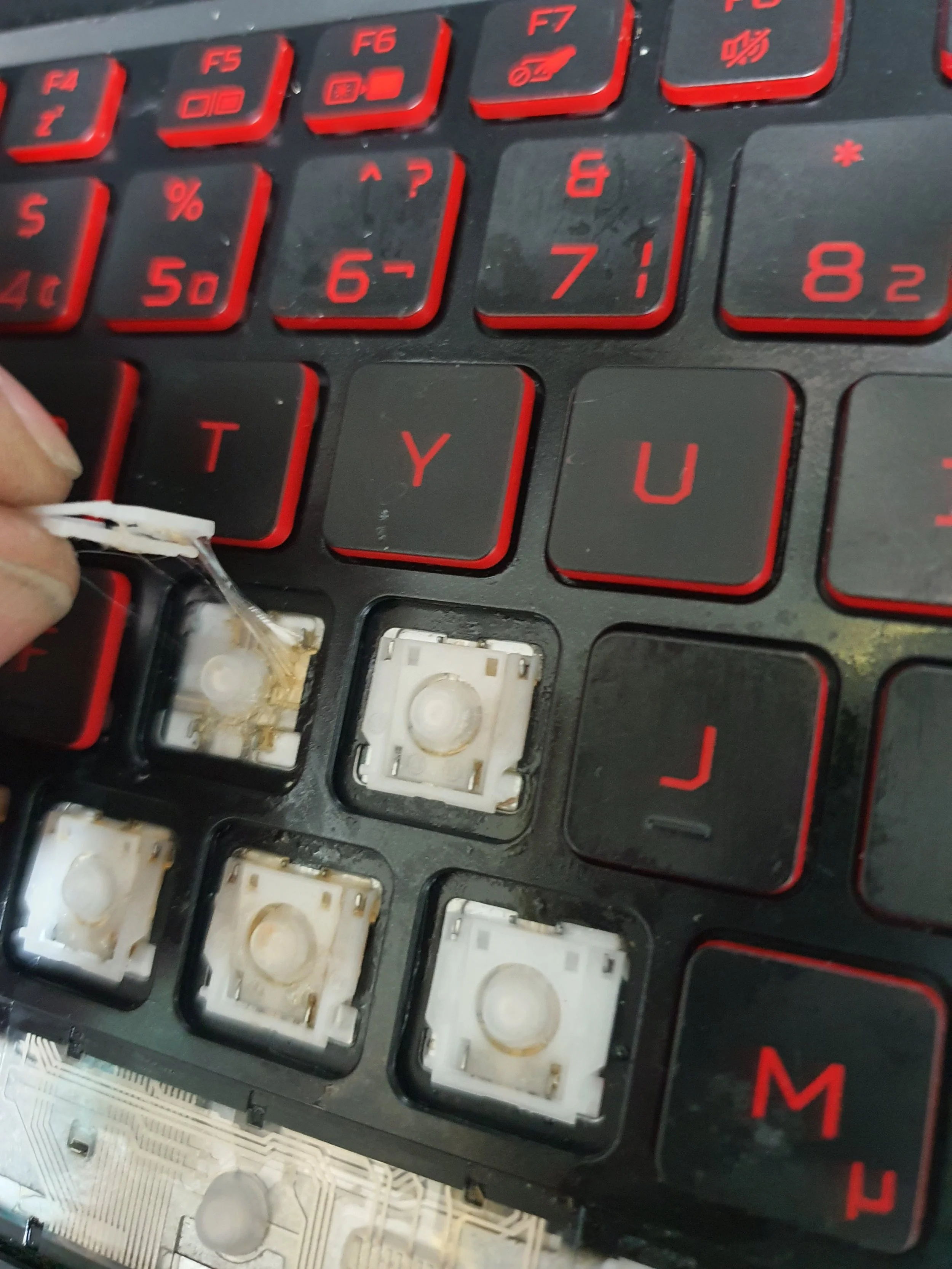 liquid damage clean up