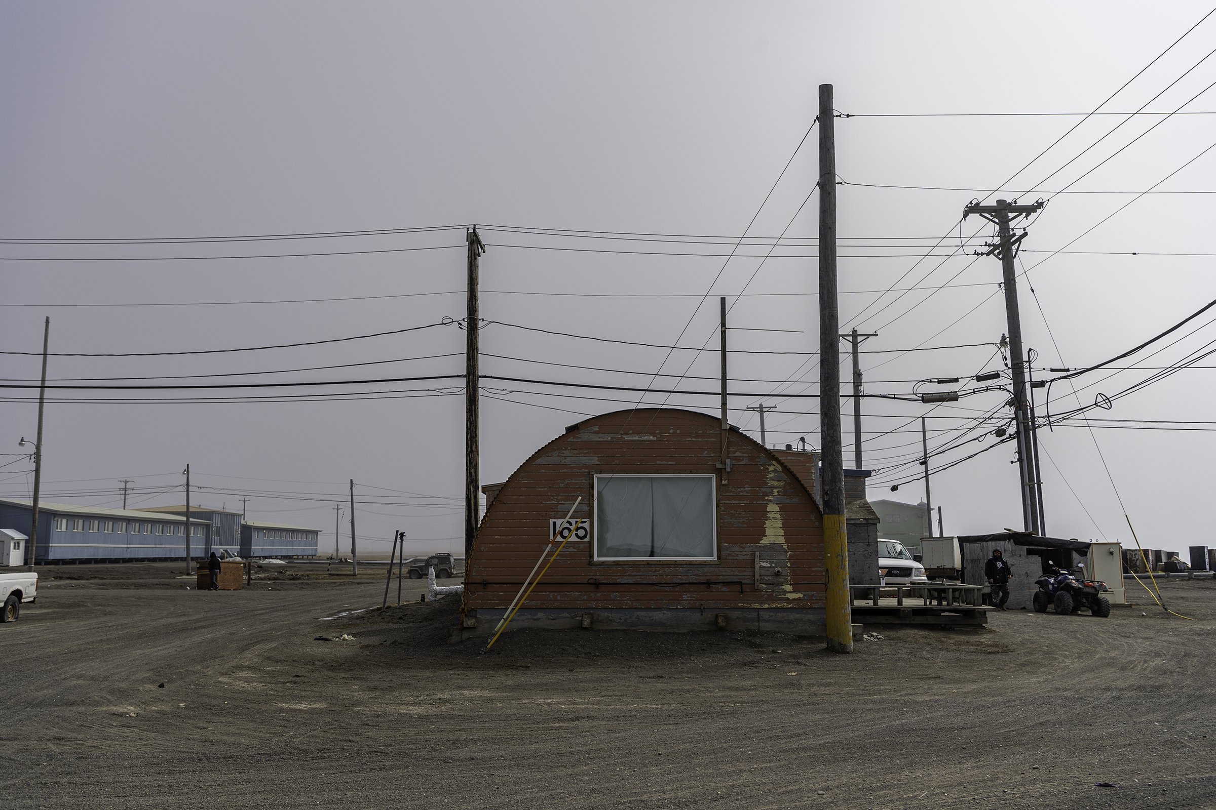 The Sale of Adak Alaska - Birders and Bidders