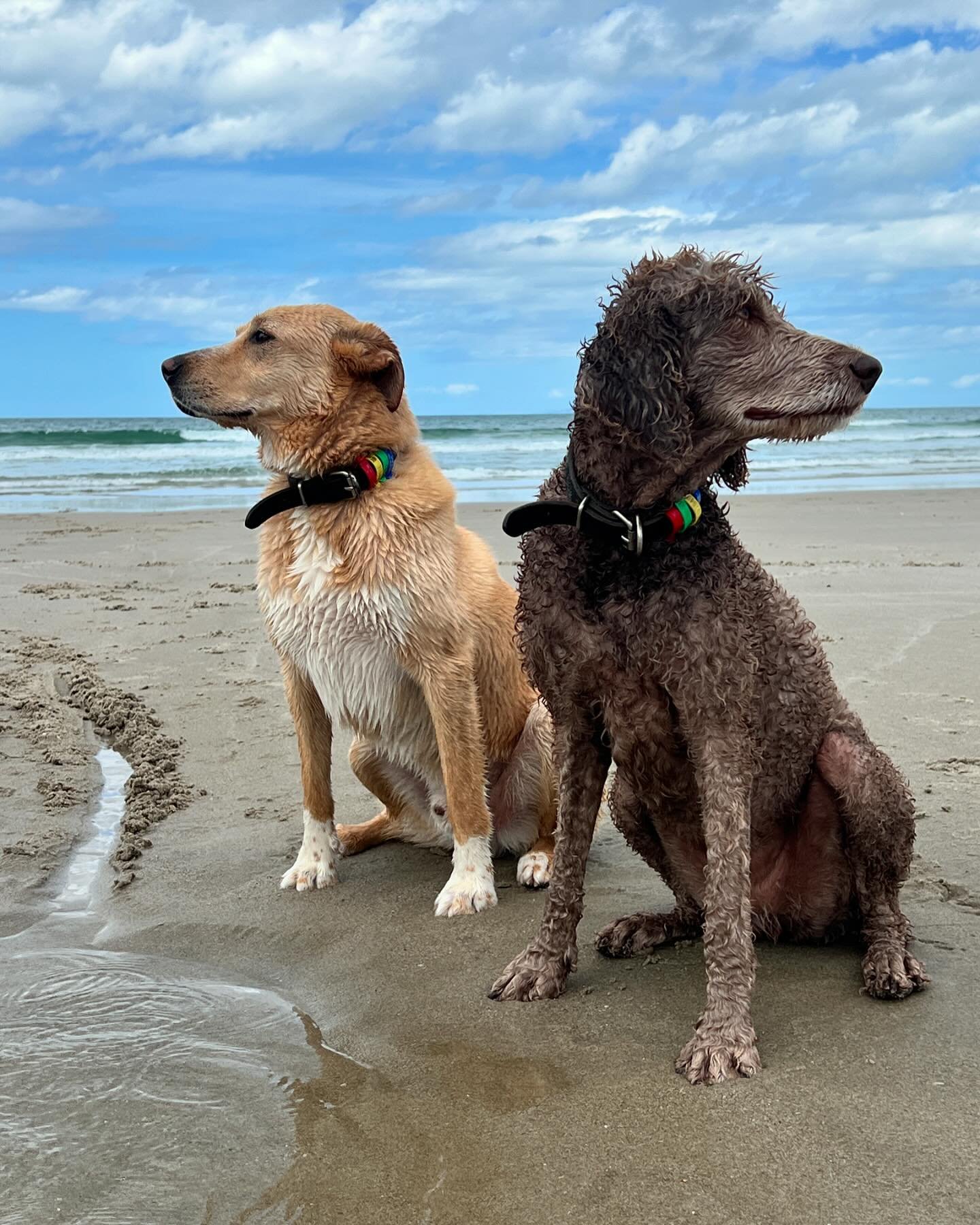 Finally a day off!!! 🥰 enjoyed a day at the beach with the whole family. 

Can&rsquo;t wait to show you the clinic 🫣