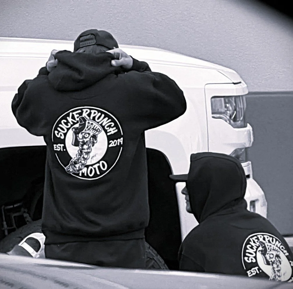 Shocker in  Action sm.jpg