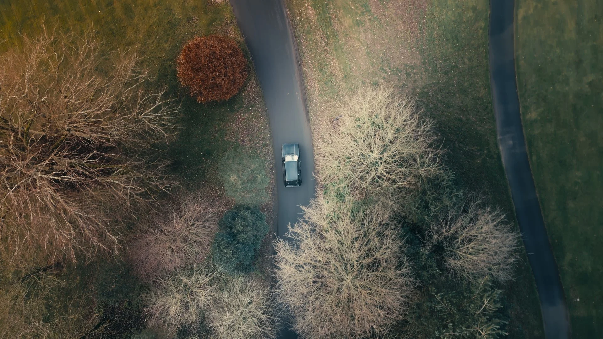 Still 2026-03-04 113754_1.8.1.jpg