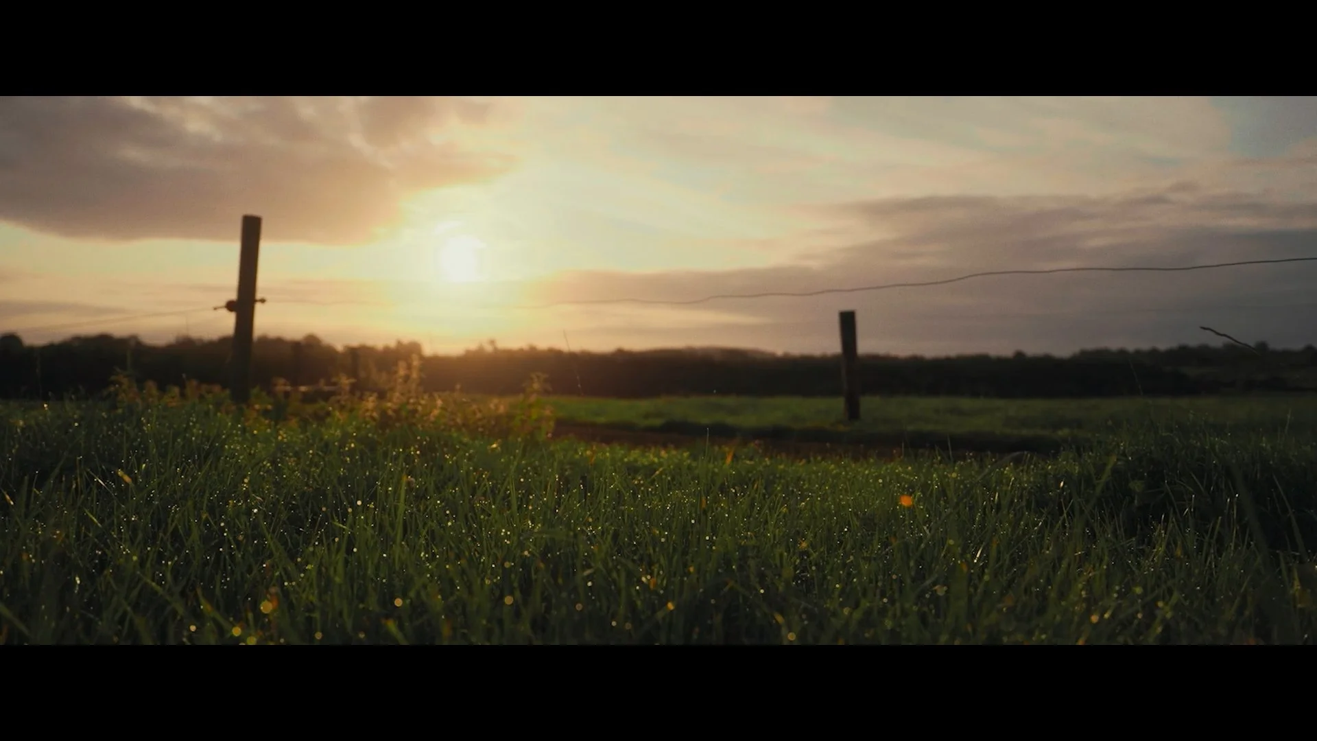 QMA Stills_1.9.1.jpg