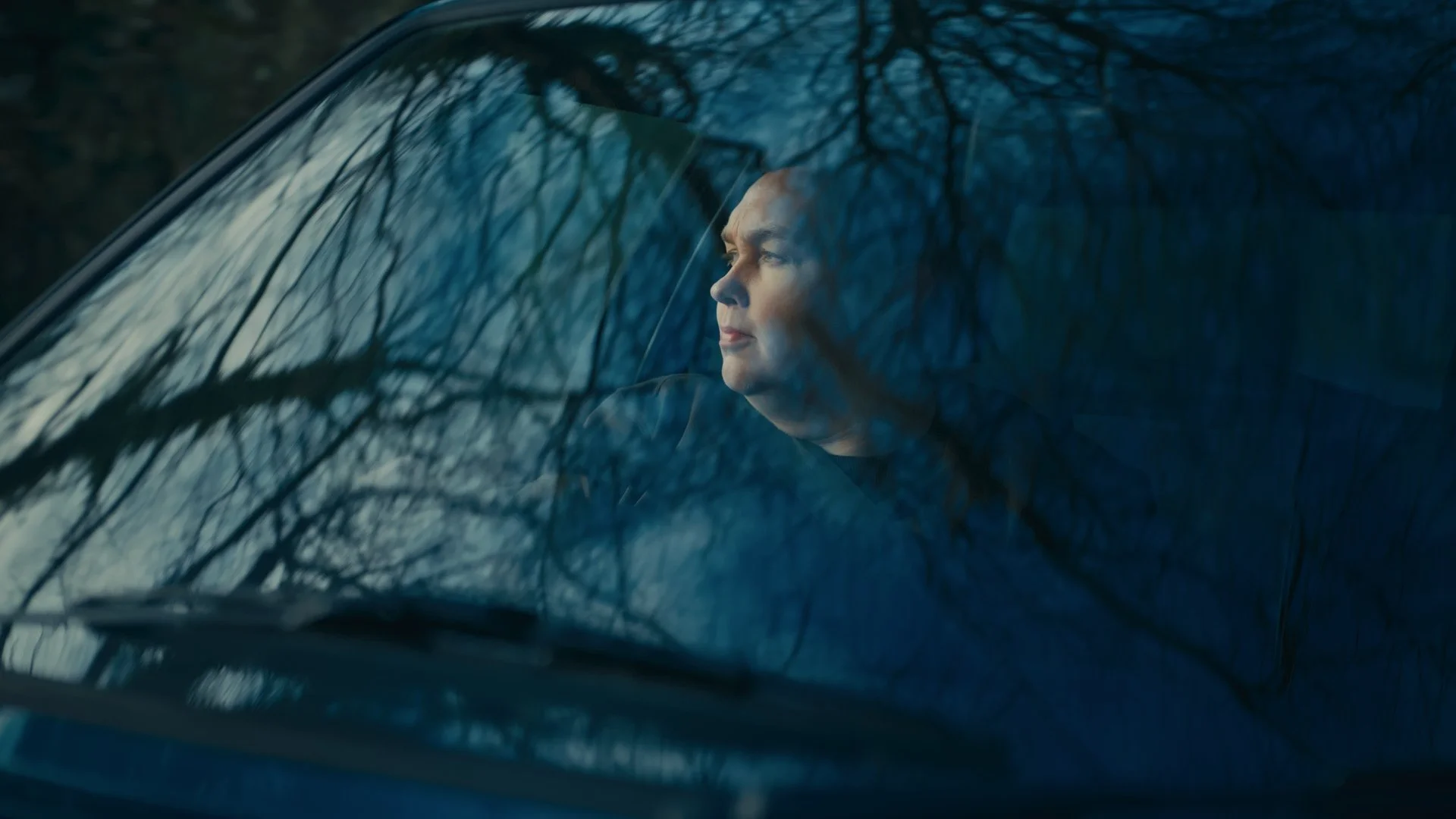 Still 2026-03-04 113754_1.47.1.jpg