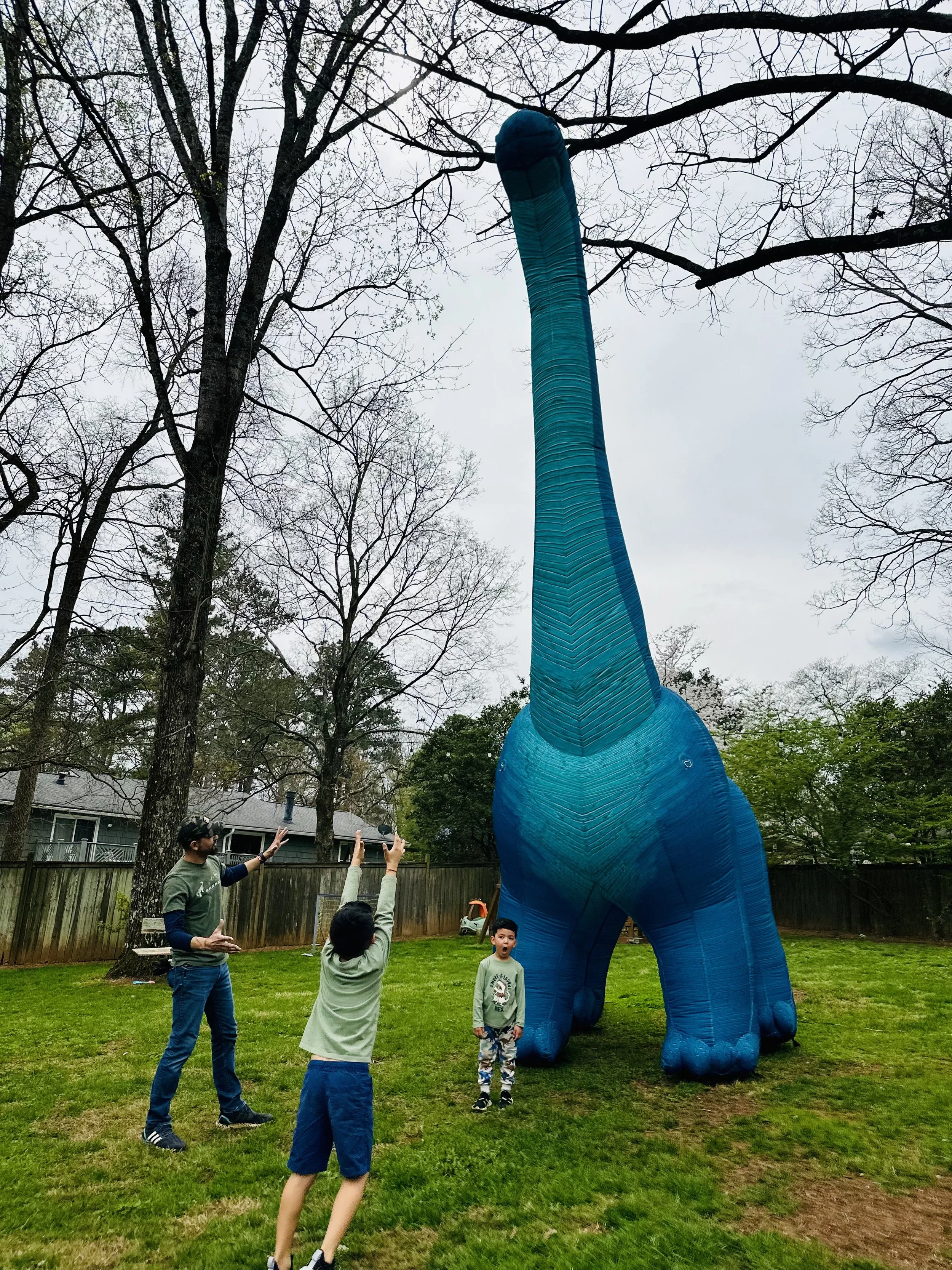 (Upload-from-mobile-1784815175)IMG_5772.jpeg