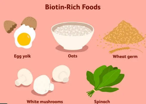 Illustration of biotin-rich foods including egg yolk, oats, wheat germ, white mushrooms, and spinach.