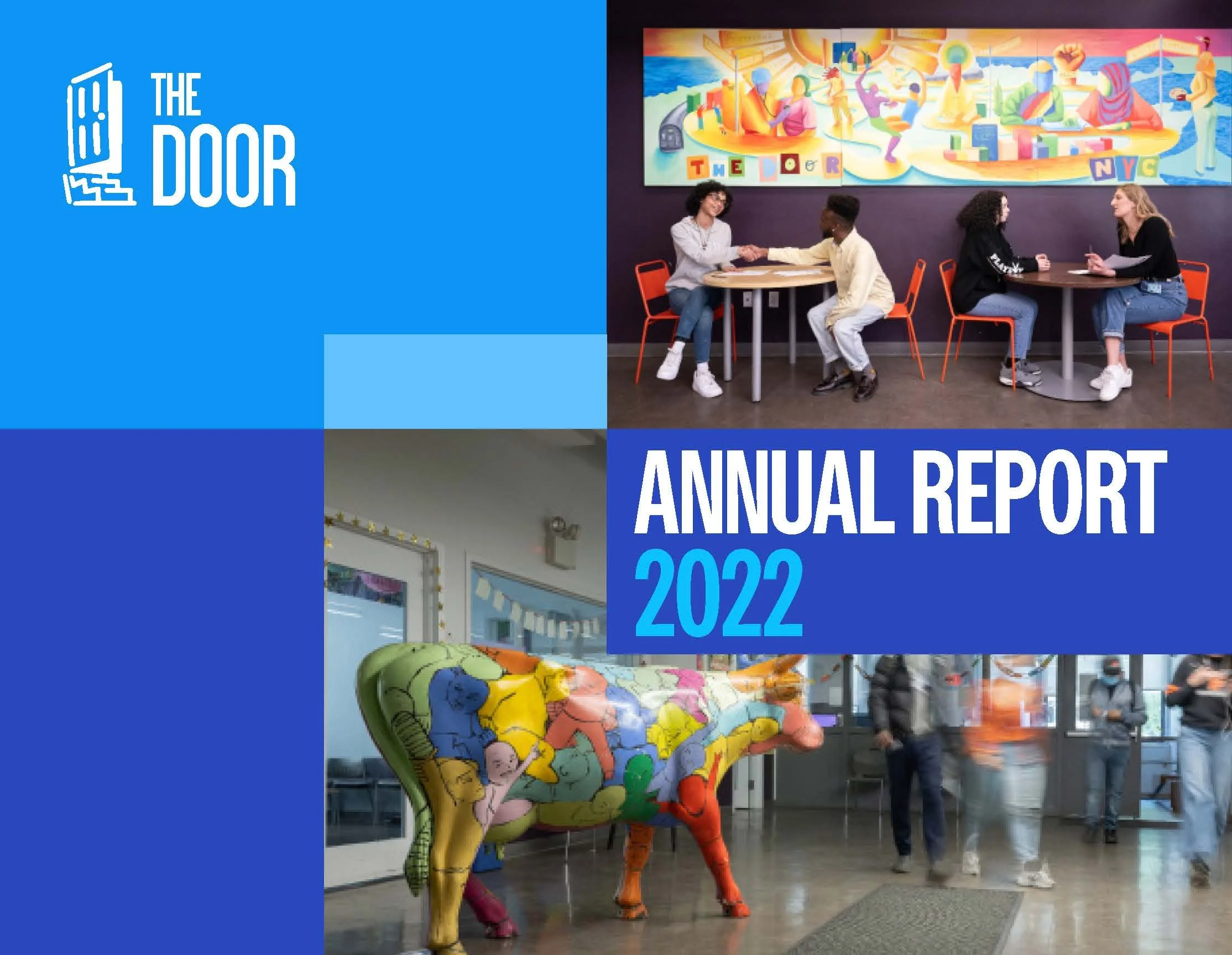 The Door Annual Report 2022